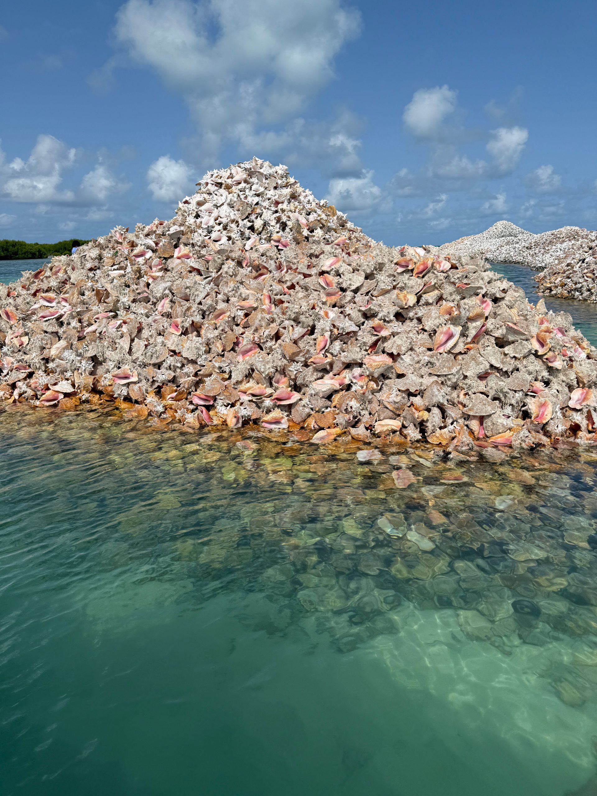 Esta “ilha” escondida mini caribenha fica maior todos os dias, e você pode ajudá