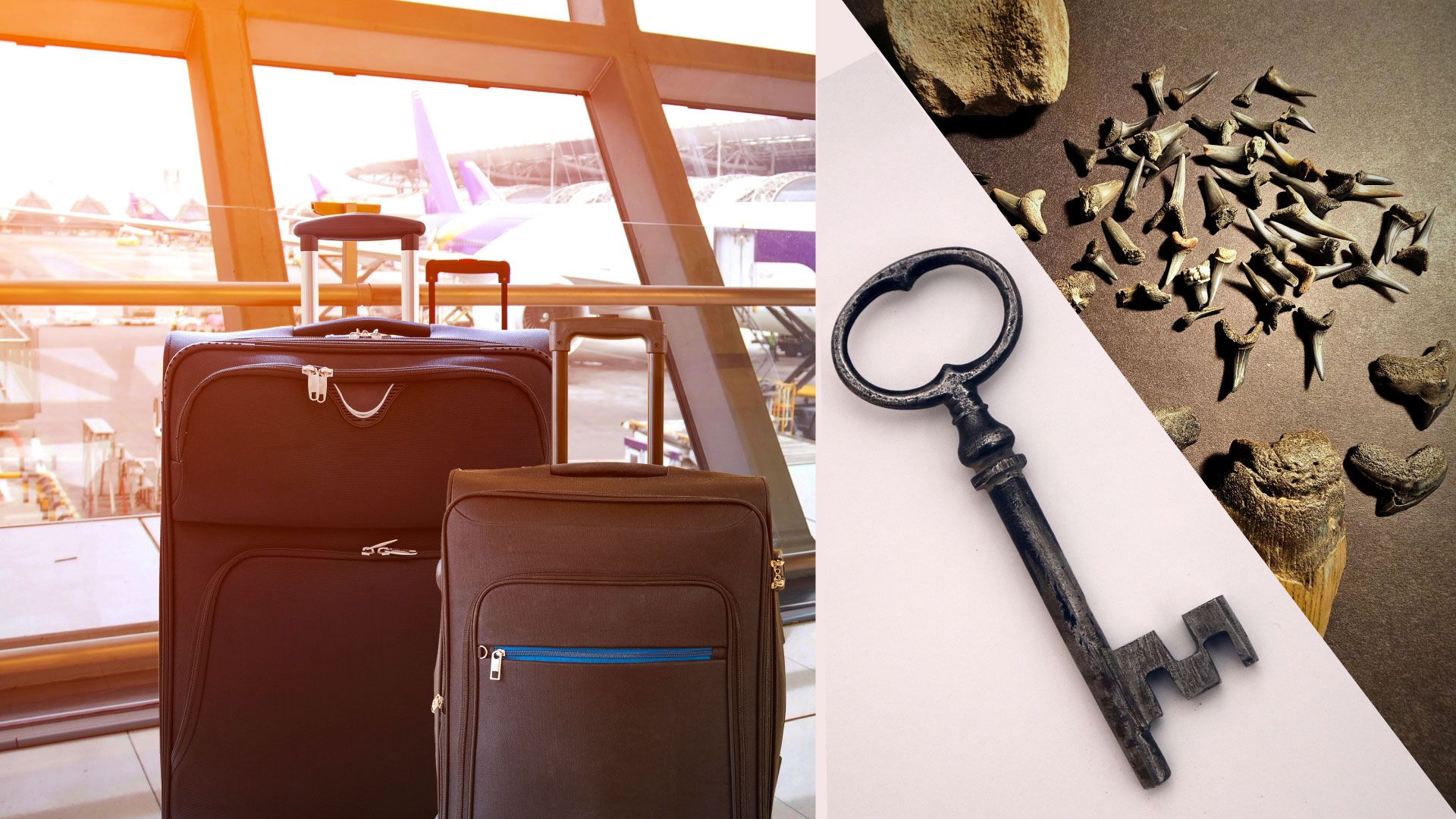 Des dents d'un requin à une caméra de la NASA, cette petite ville de l'Alabama est le seul détaillant de bagages perdus aux États-Unis