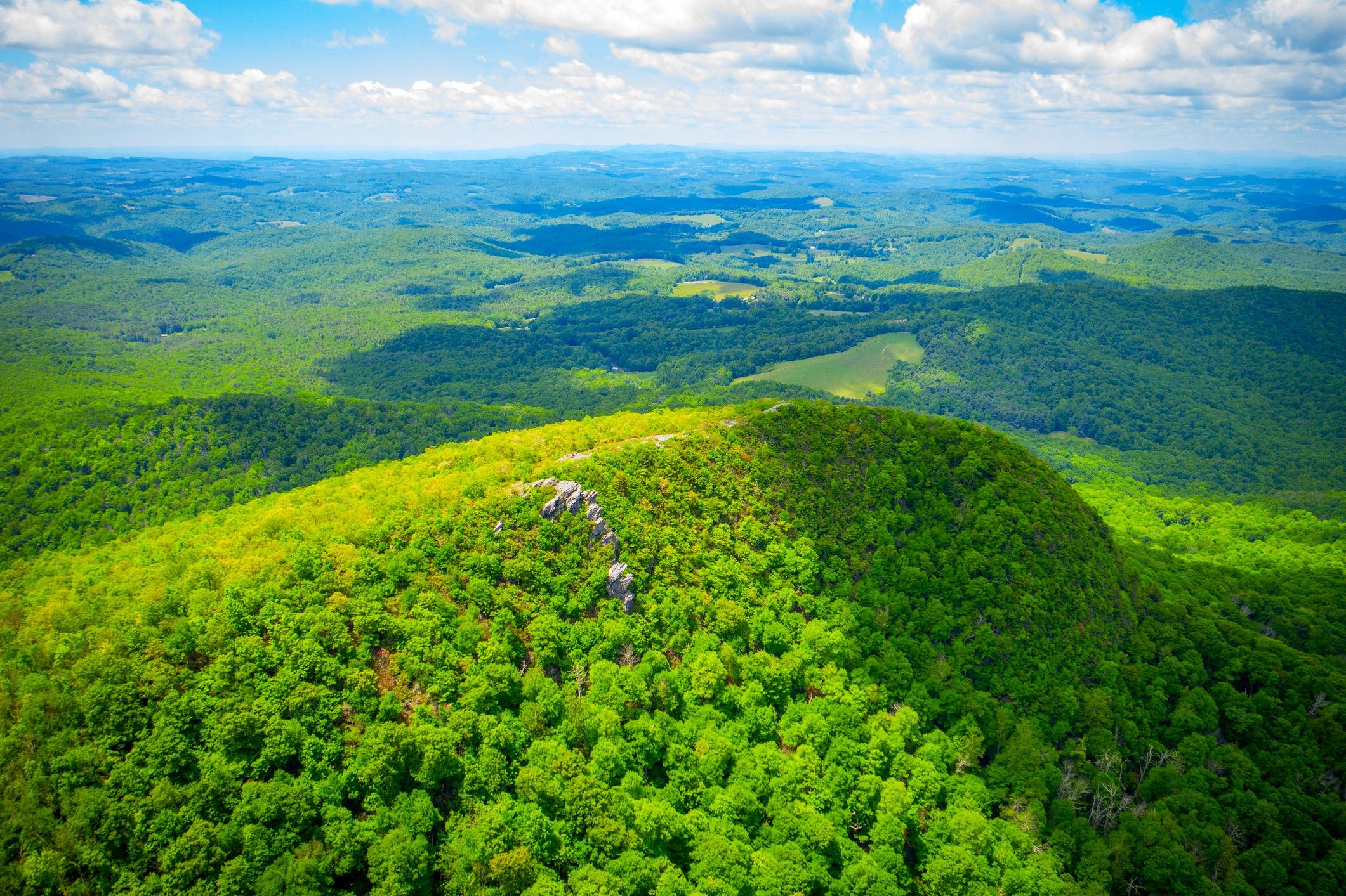 La mini versión de Virginia de Nashville &amp; Napa Valley está en las montañas Blue Ridge