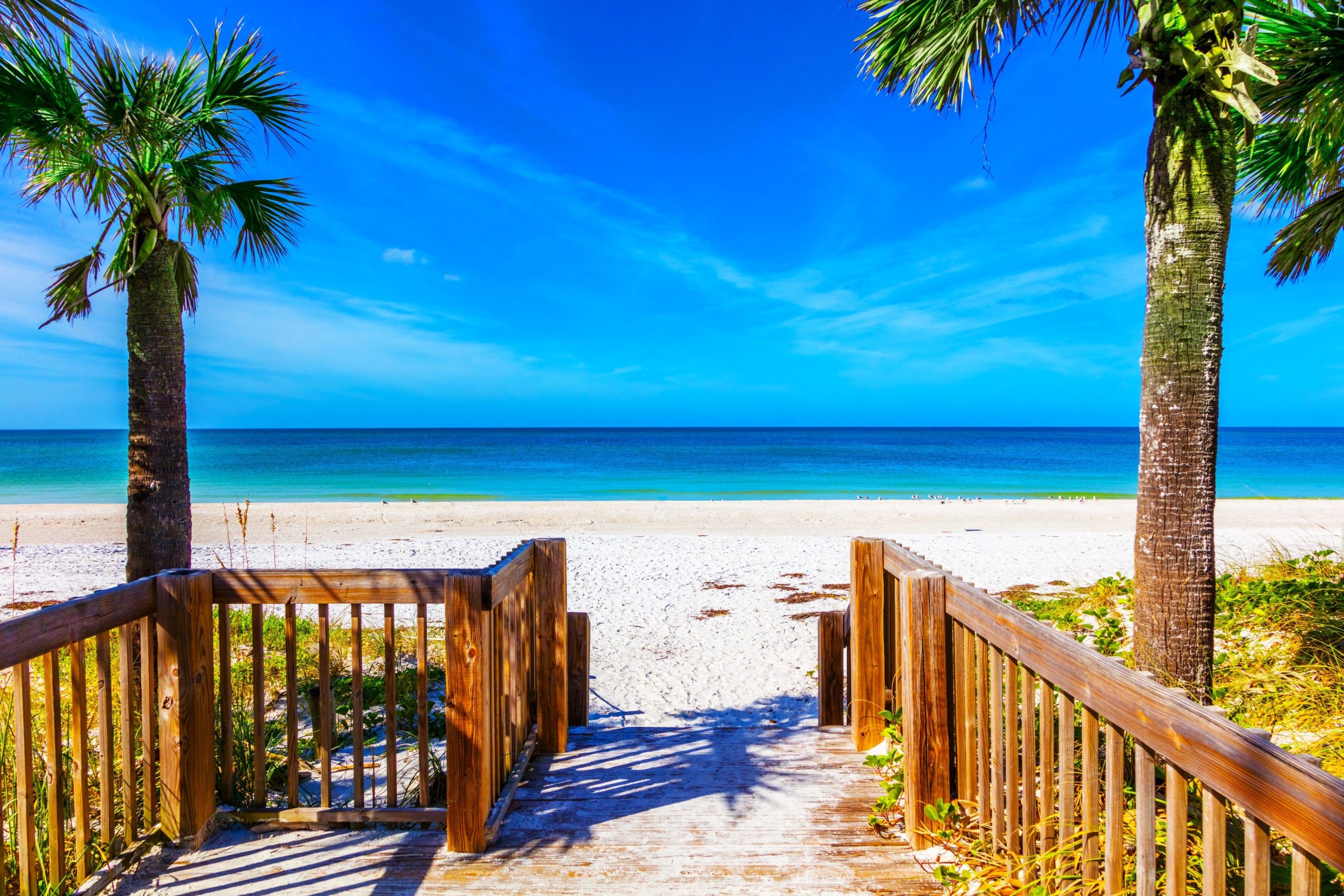 Comercia el frío (y las multitudes) por la isla Anna Maria subestimada de Florida