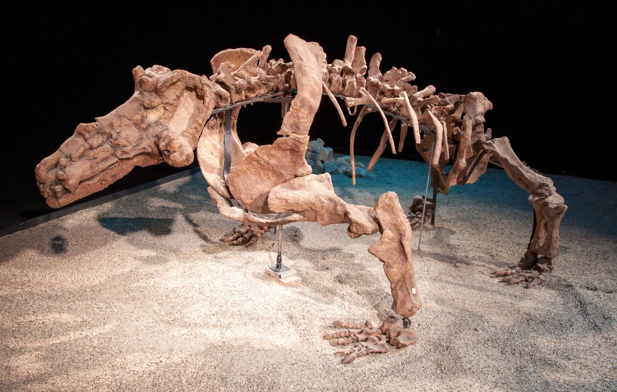 L'ancien prédateur le plus terrifiant du monde avait 10 millions d'années de plus que les dinosaures