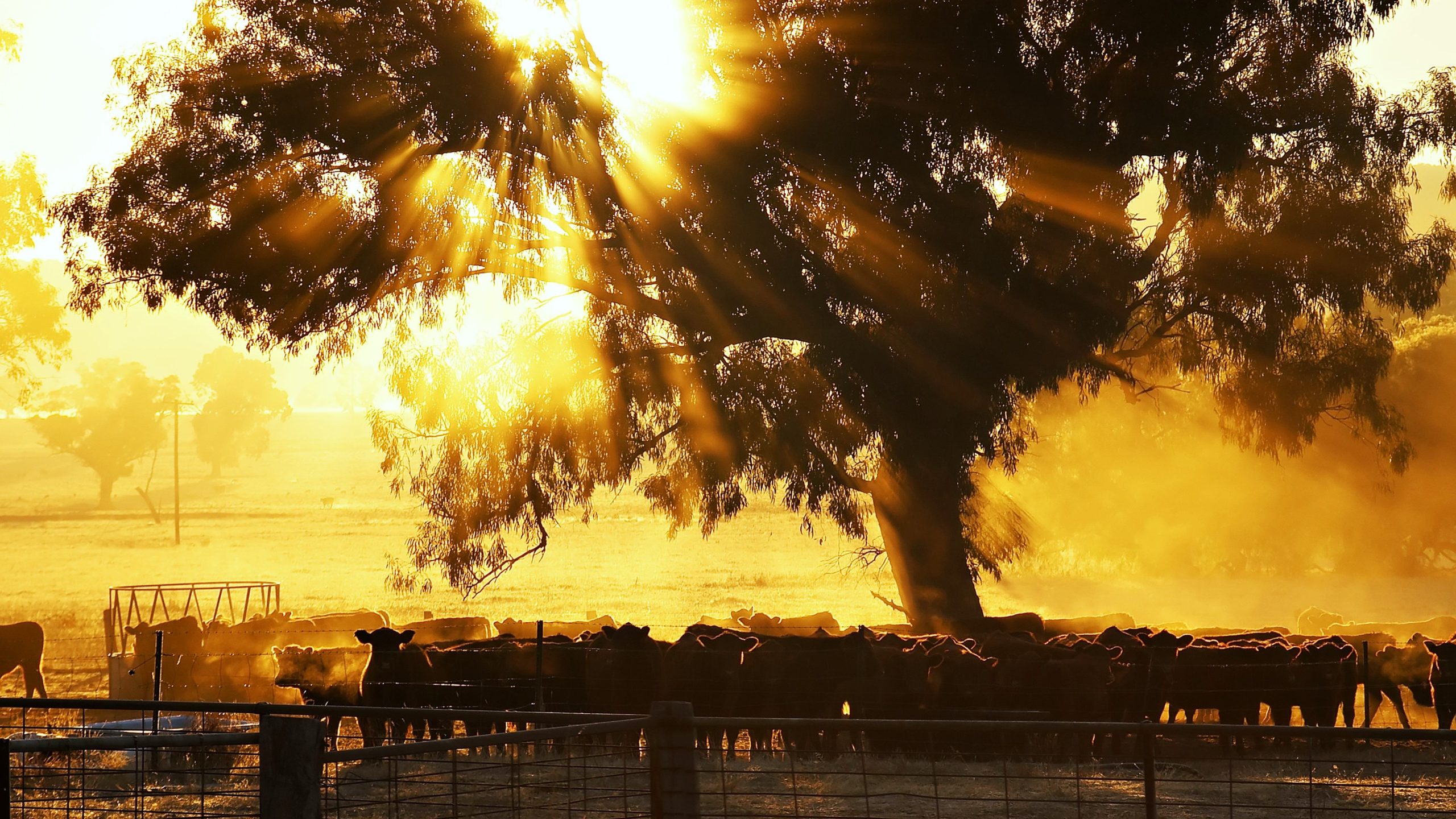 El misterio más grande de Oregon abarca décadas y todavía no está resuelto