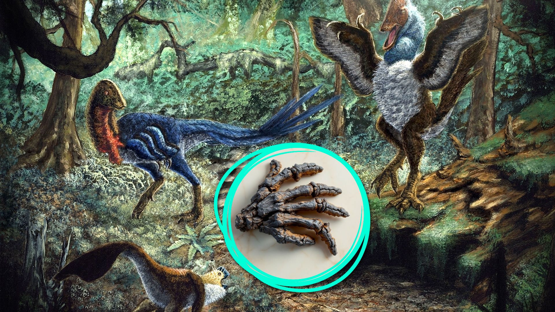 "Hand" Fossil descoberto em Montana revelou um novo segredo de dinossauro