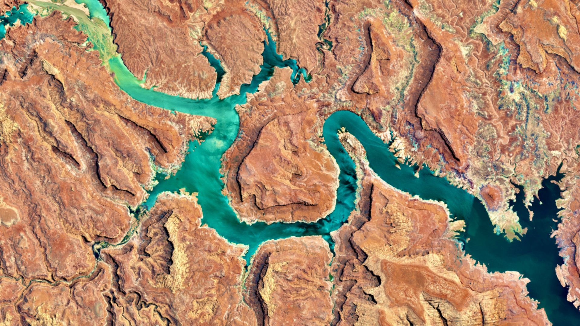 La superbe découverte fossile du lac Powell a complètement remodelé son histoire