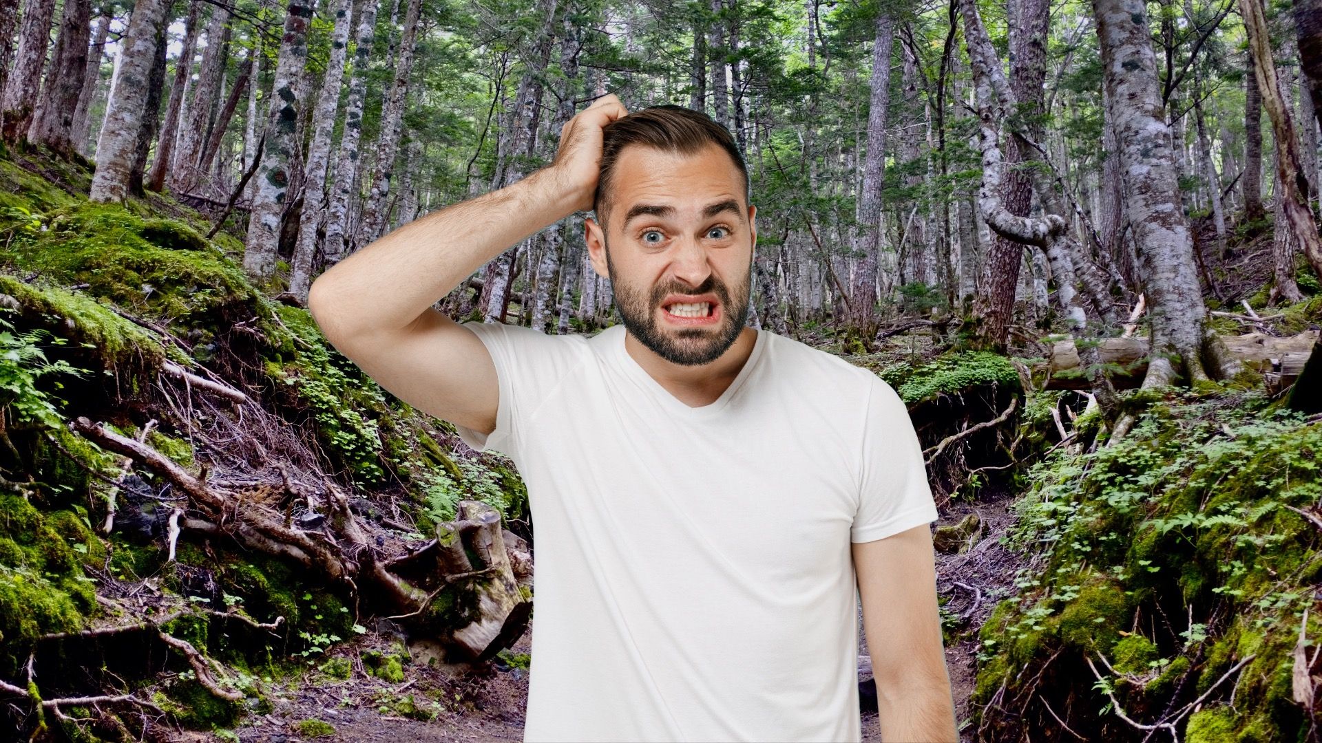 7 destinos verdaderamente macabros para visitar en 2024