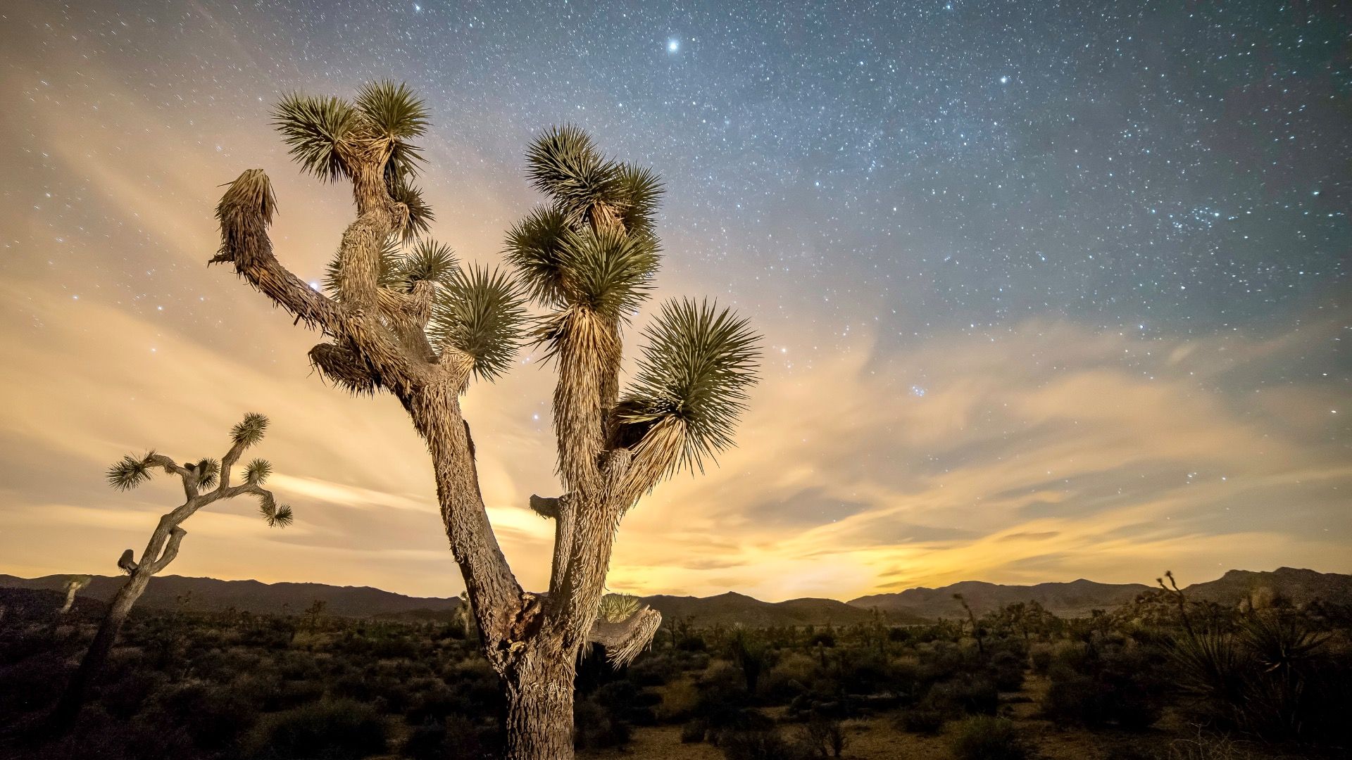 Le festival de Stargazing de Joshua Tree est une expérience une fois dans sa vie