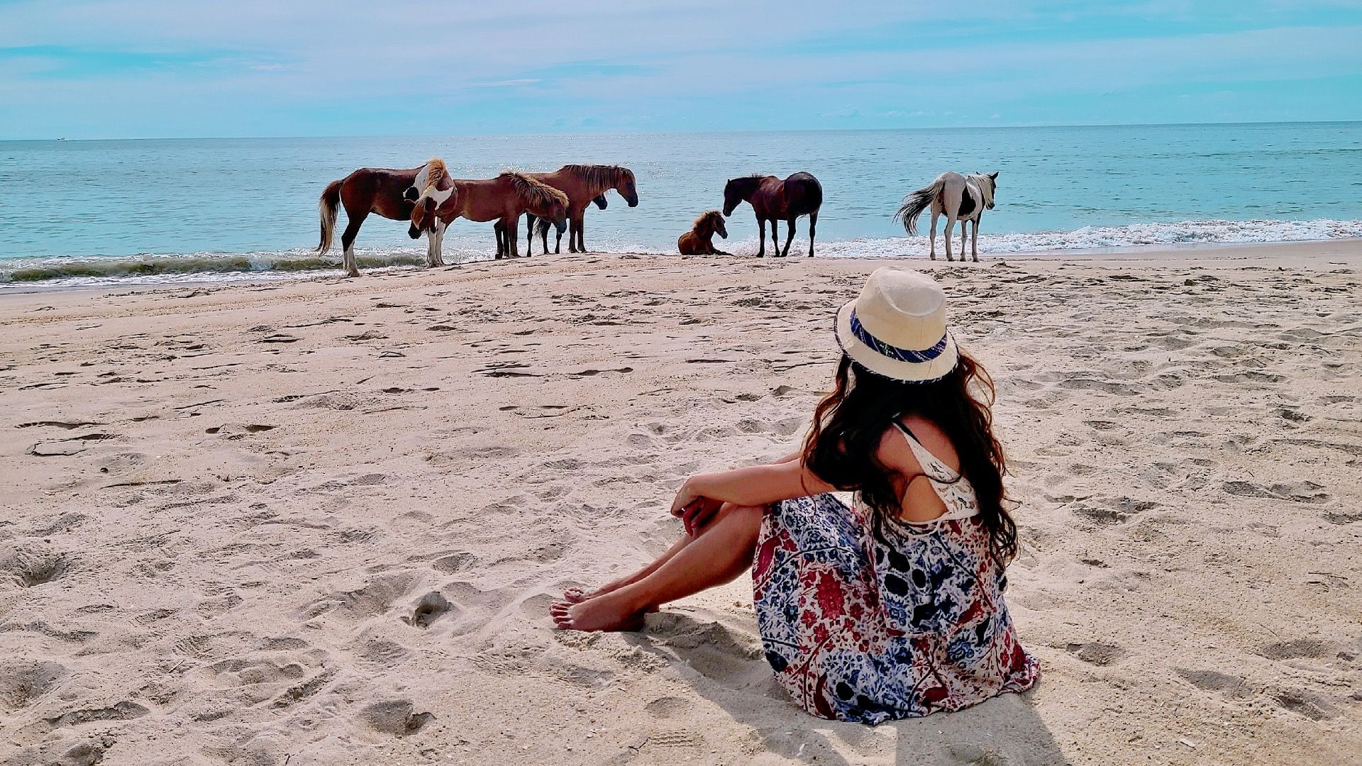 10 rencontres sur la faune que vous avez surtout susceptibles d'avoir (par région)