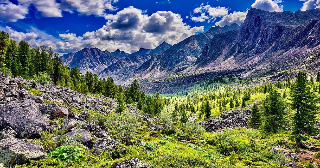 La foresta più grande del mondo è sbalorditiva, ma non puoi visitare