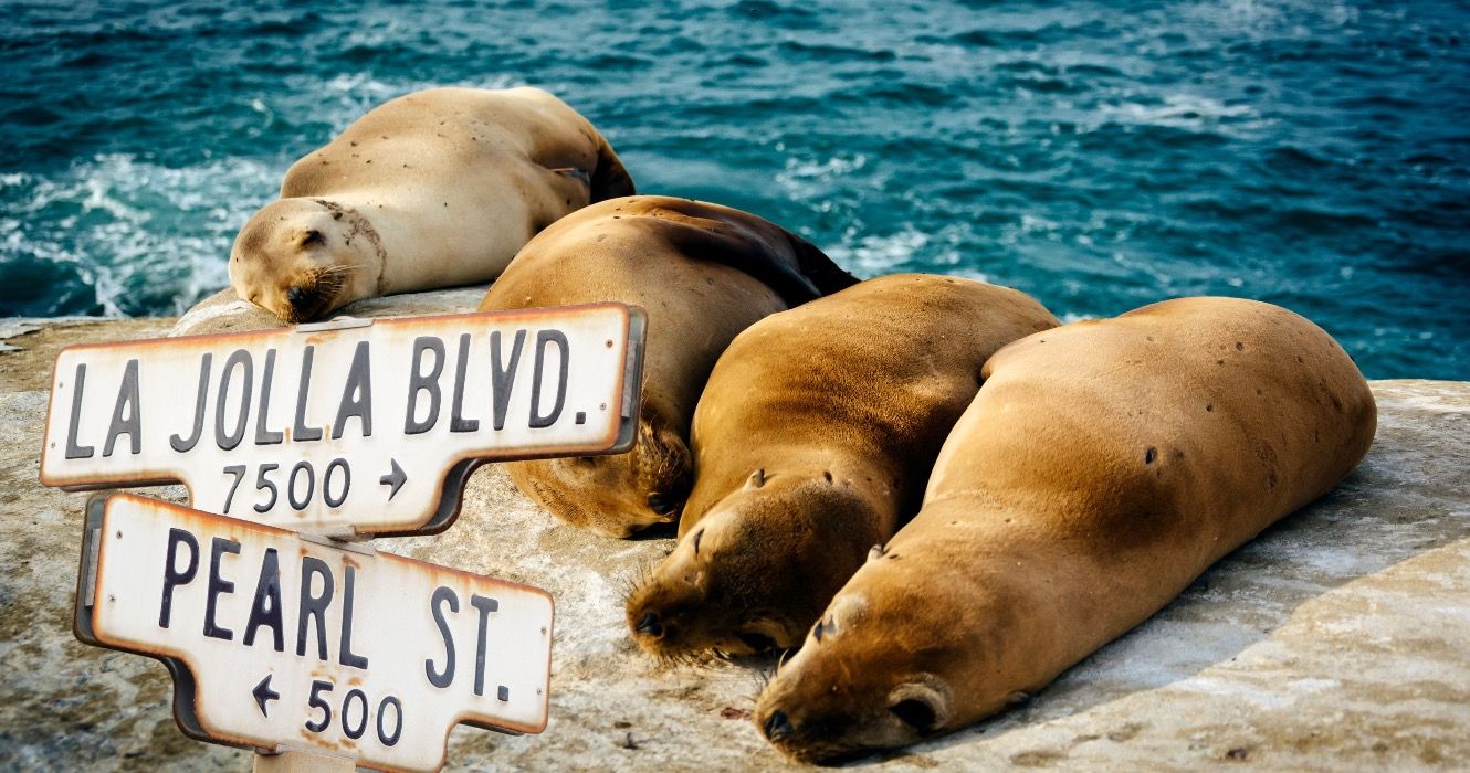 9 pequeñas ciudades costeras de California para amantes de la playa