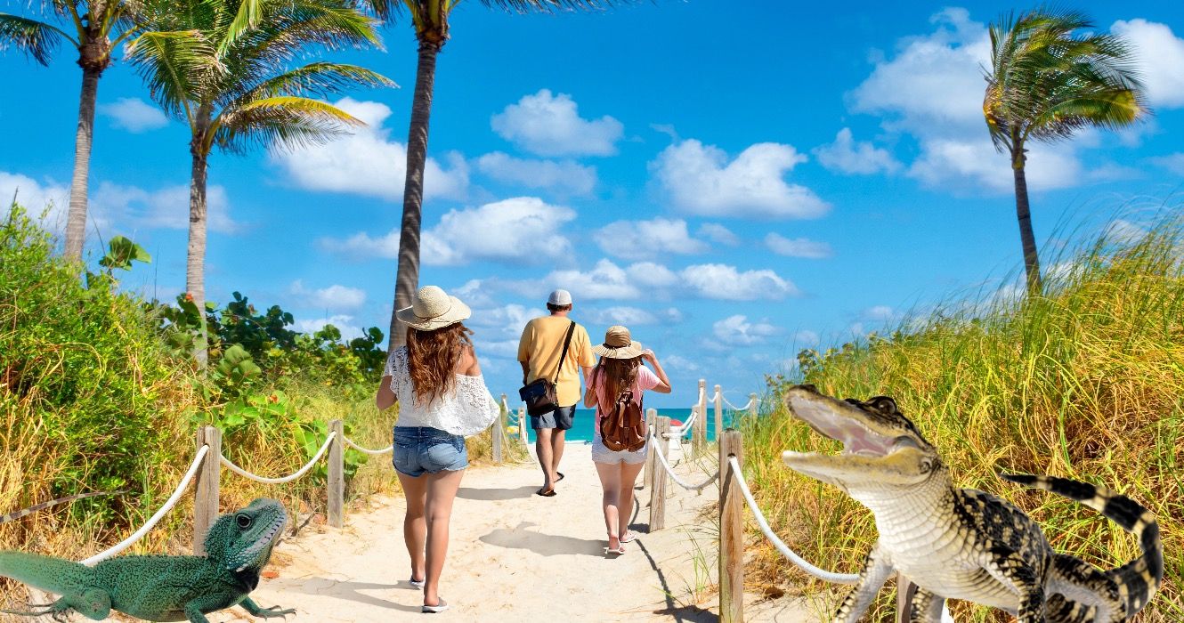 10 randonnées de plage les mieux notées en Floride