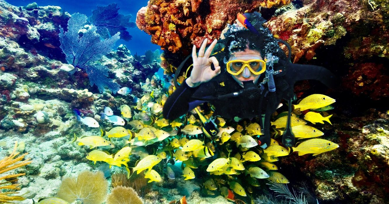 7 plages de Floride où vous pouvez voir les récifs coralliens