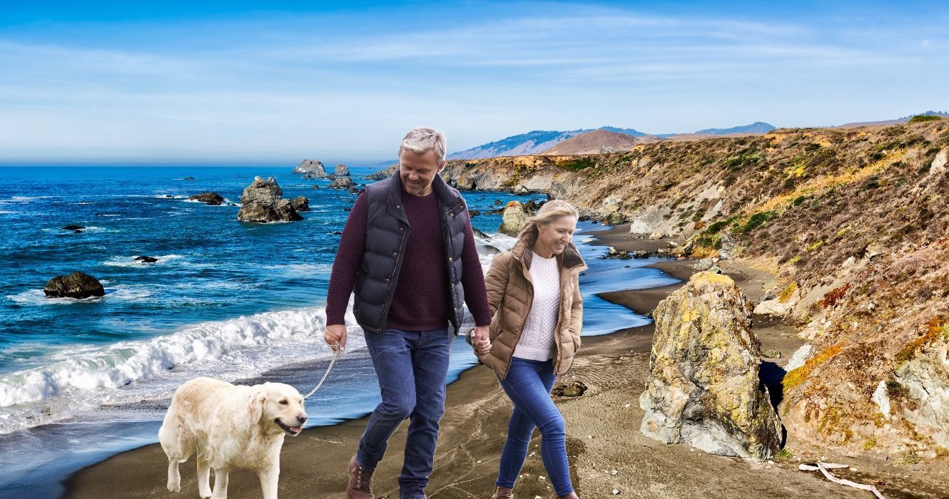 9 Parques estatales de California con encantadoras vistas costeras