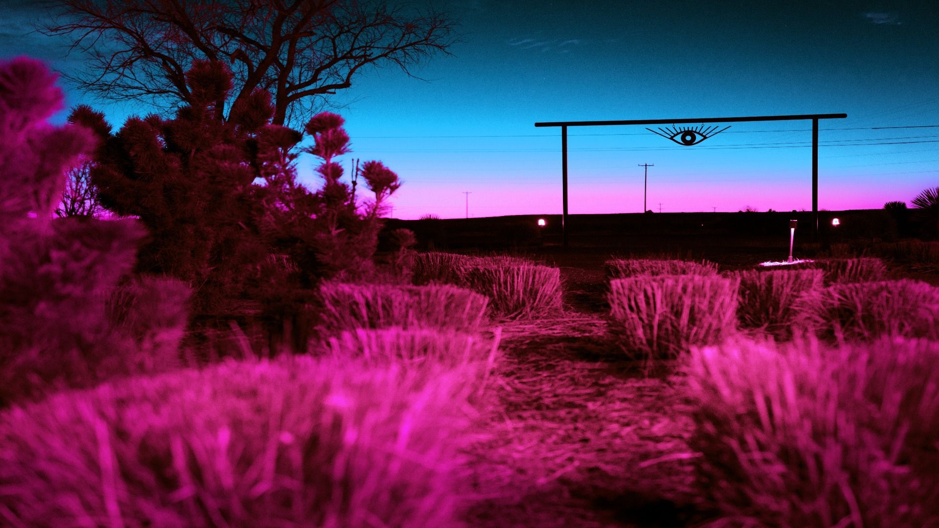 7 choses les plus étranges jamais découvertes en Amérique