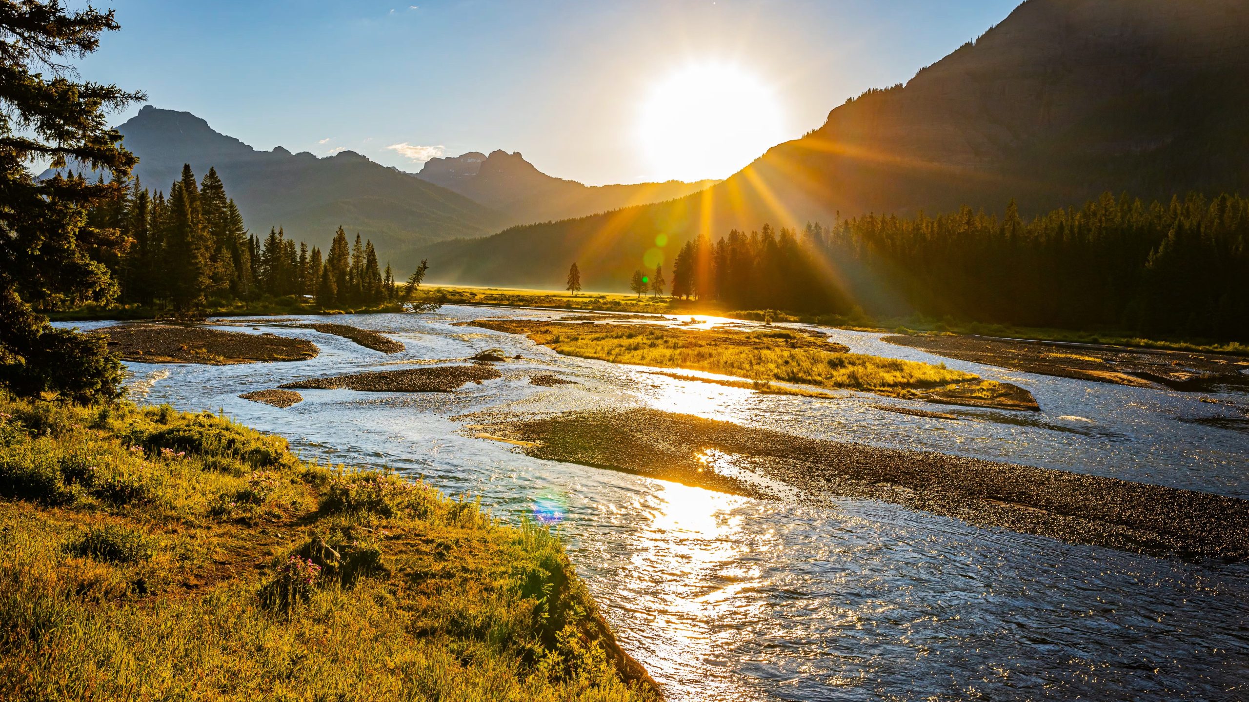Los visitantes del Parque Nacional de Yellowstone pueden encontrar otras atracciones en cinco millas