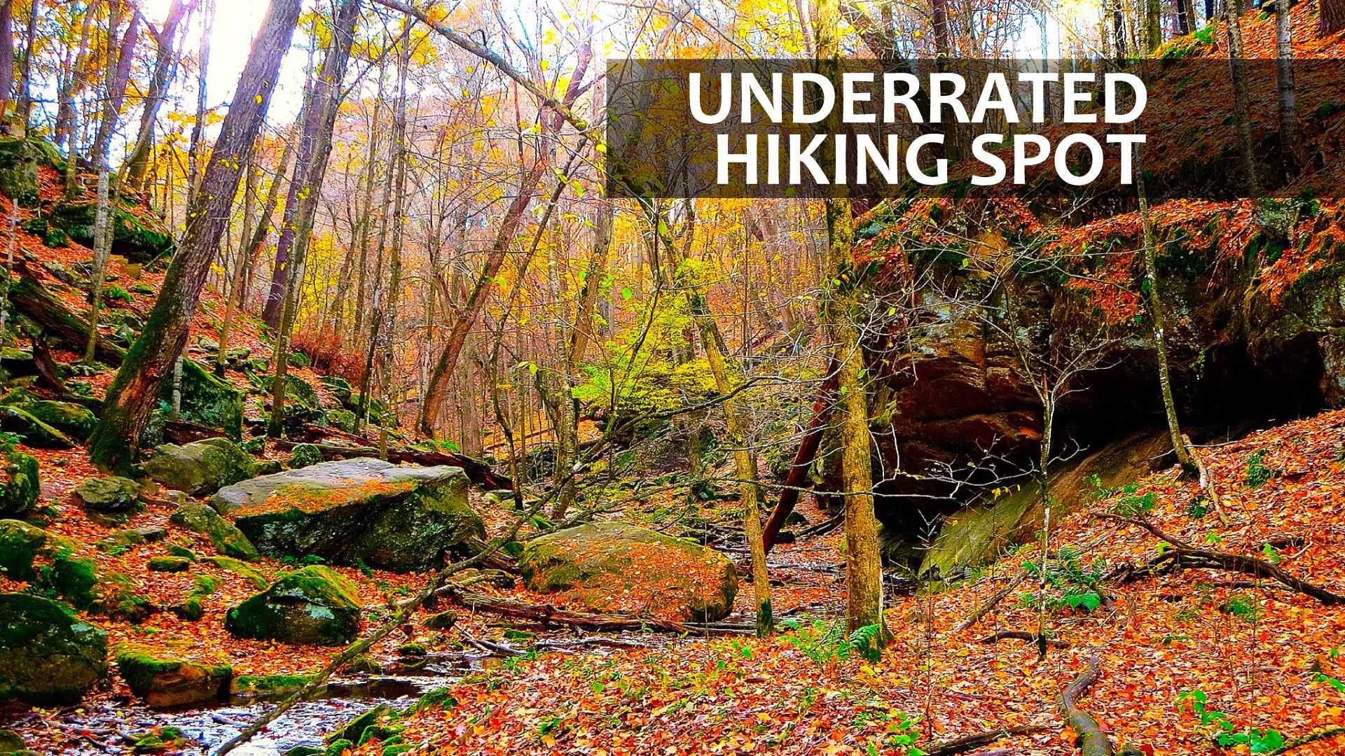 El pequeño "Gran Cañón" de Iowa está en el lugar de senderismo más subestimado del Medio Oeste que nunca has oído hablar