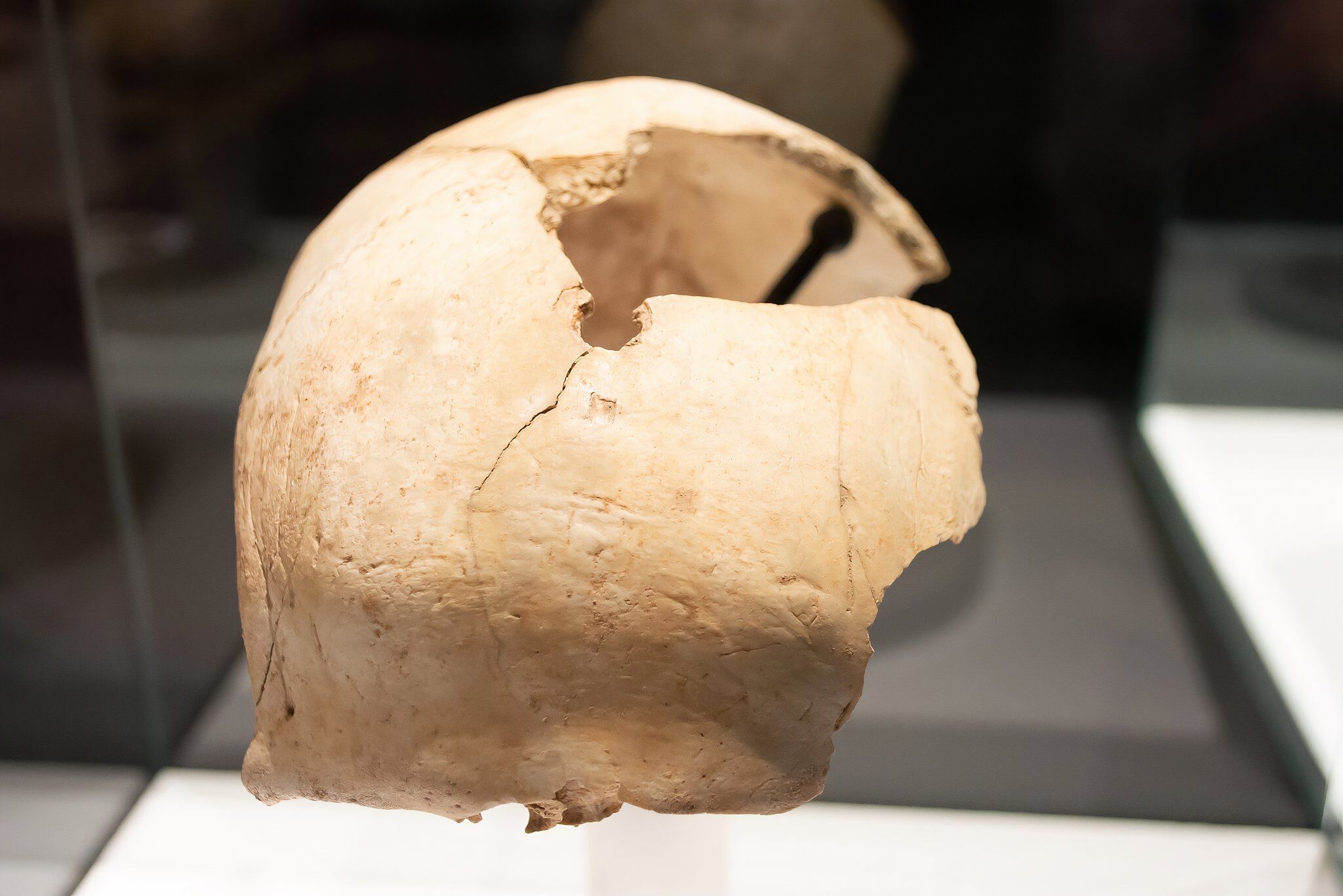 Possiamo finalmente sapere perché questa antica civiltà ha spinto le unghie in teschi umani