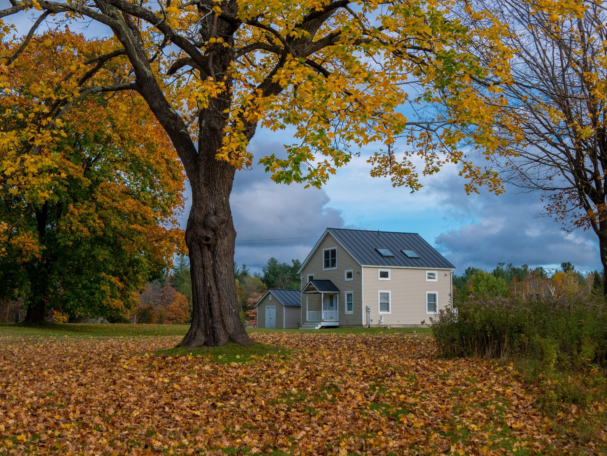 Cette chaîne de montagnes du Massachusetts est le voyage d'automne parfait pour les montagnes russes de l'Est