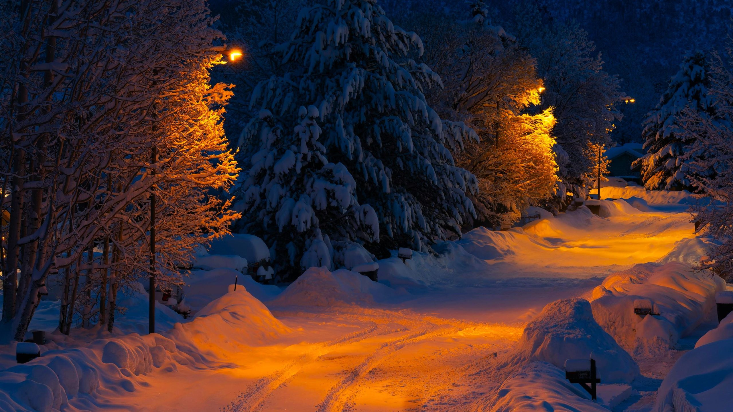 Un état auquel vous ne vous attendez jamais a l'une des villes de montagne les plus enneigées des États-Unis