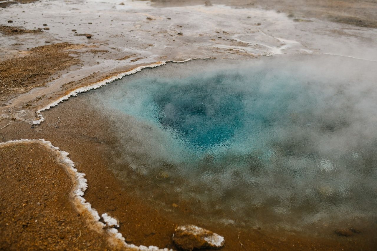 La sorprendente criatura pequeña que puede manejar las altas temperaturas en las aguas termales de Yellowstone