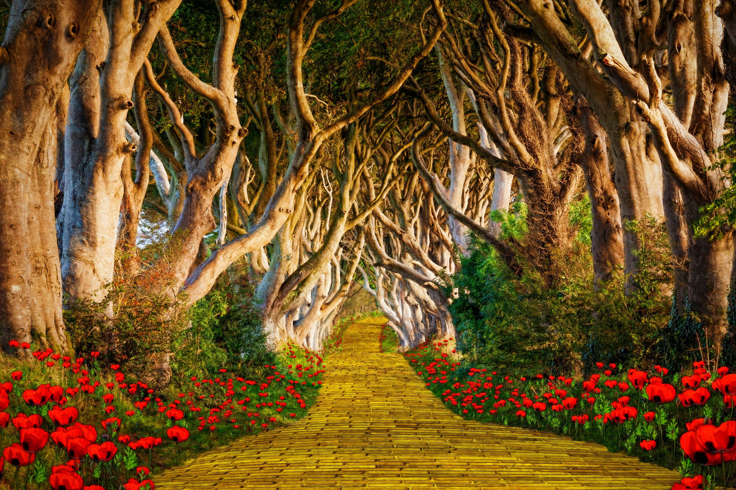 Endroits à visiter inspirés de Wicked &amp; the Wizard of Oz