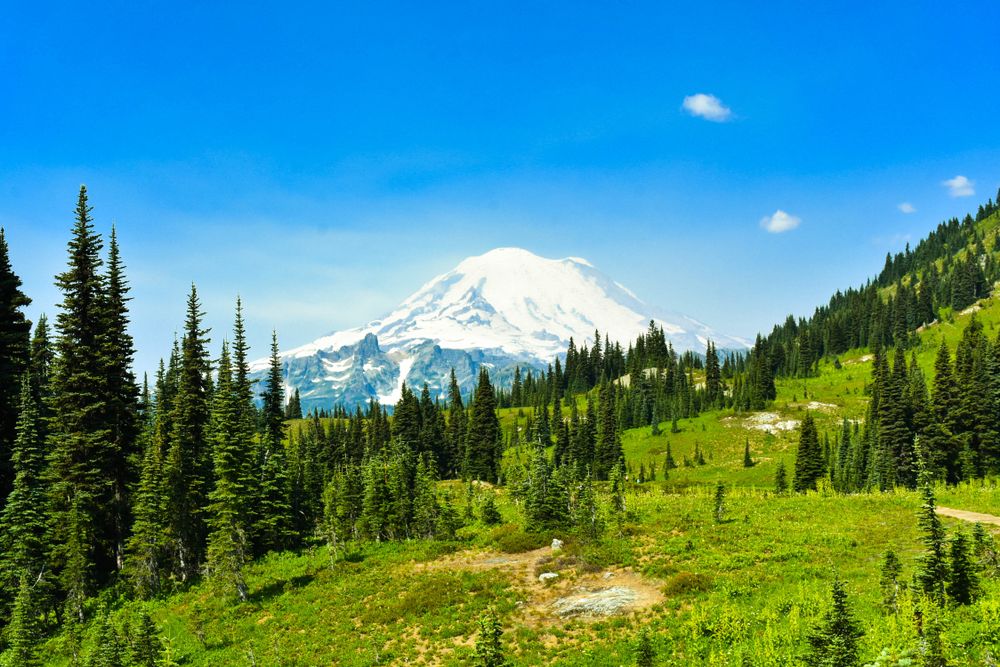 La nouvelle interdiction du Mount Rainier National Park affectant tous les campeurs entre en vigueur aujourd'hui