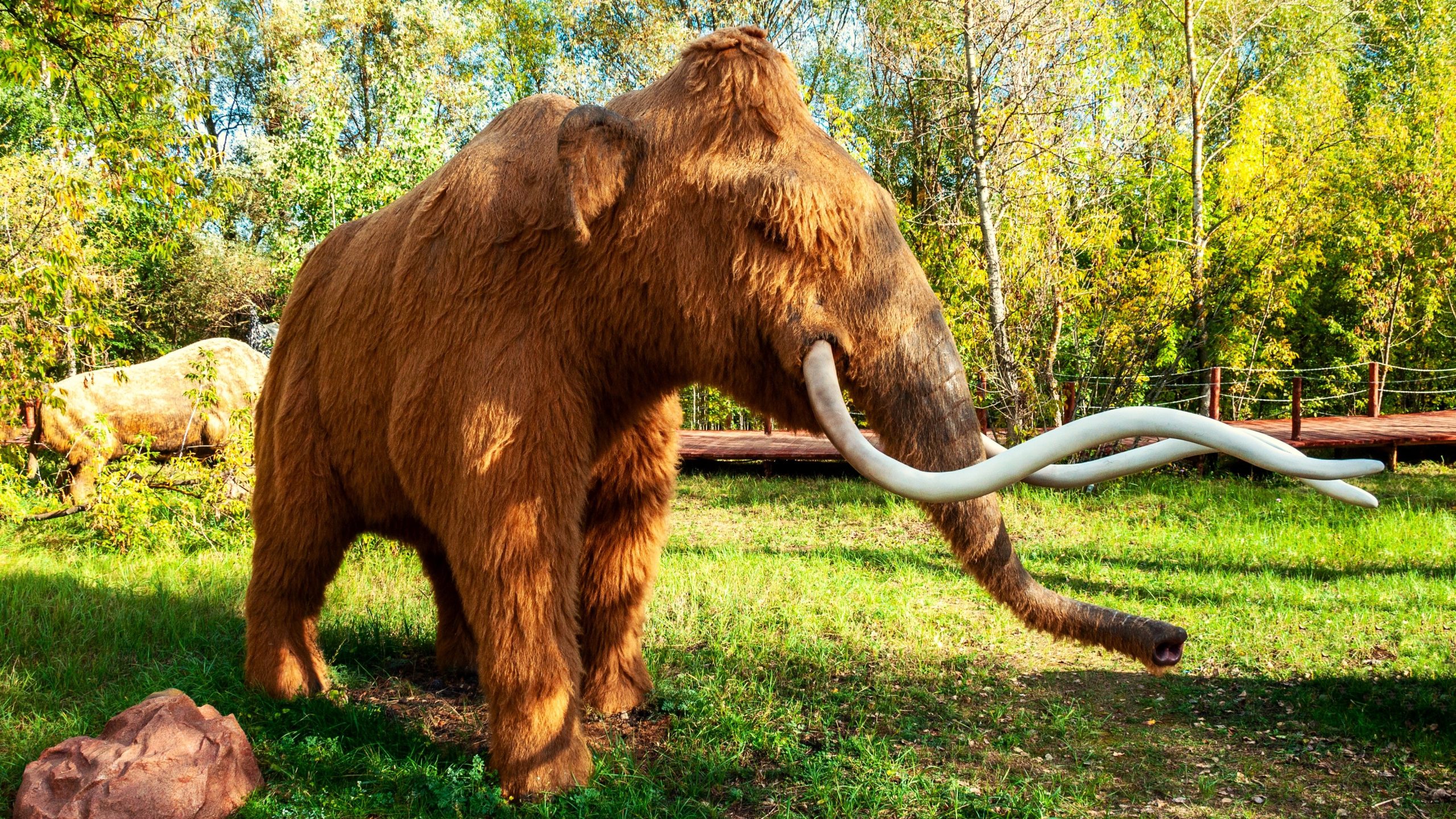 8 criaturas extintas que realmente podrían existir