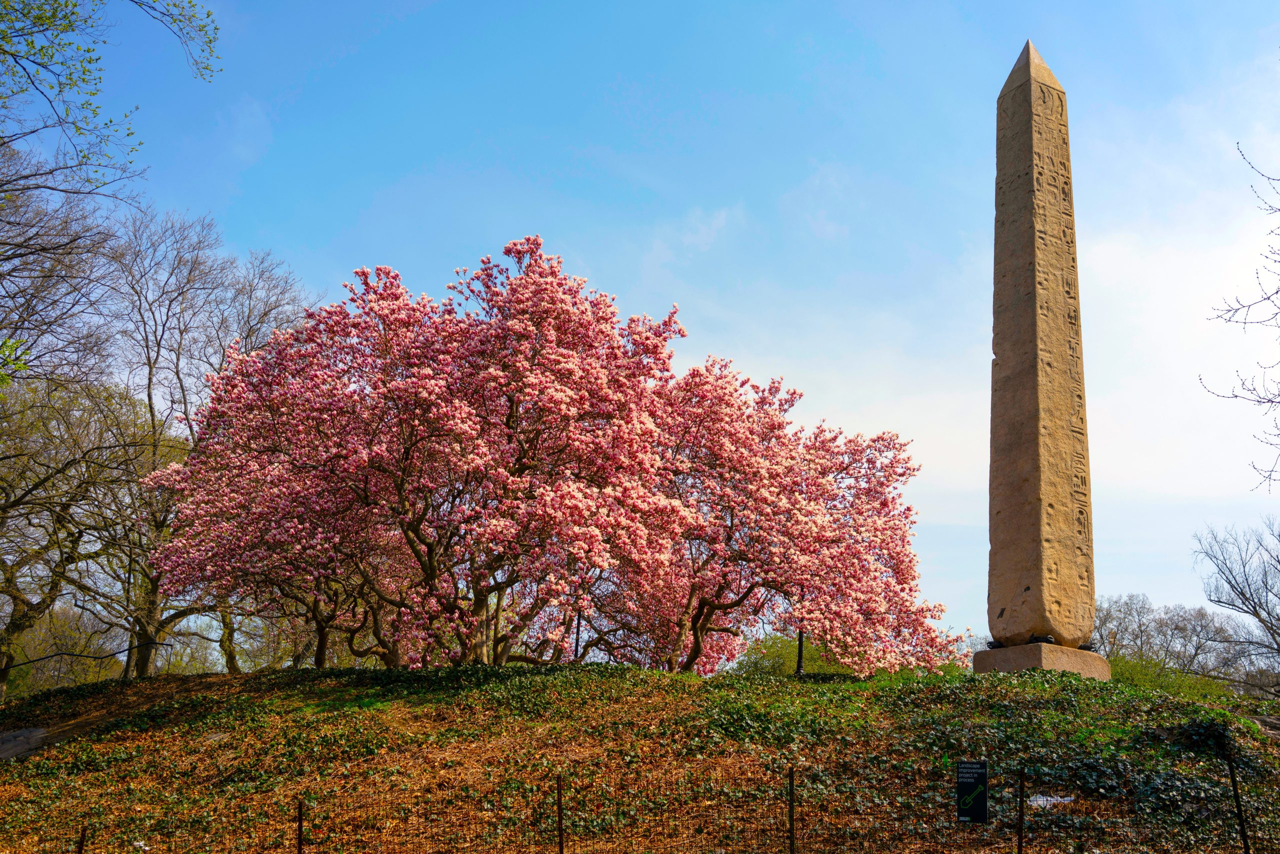Algo mais velho que a Bíblia, Roma e Cleópatra fica no coração da cidade de Nova York