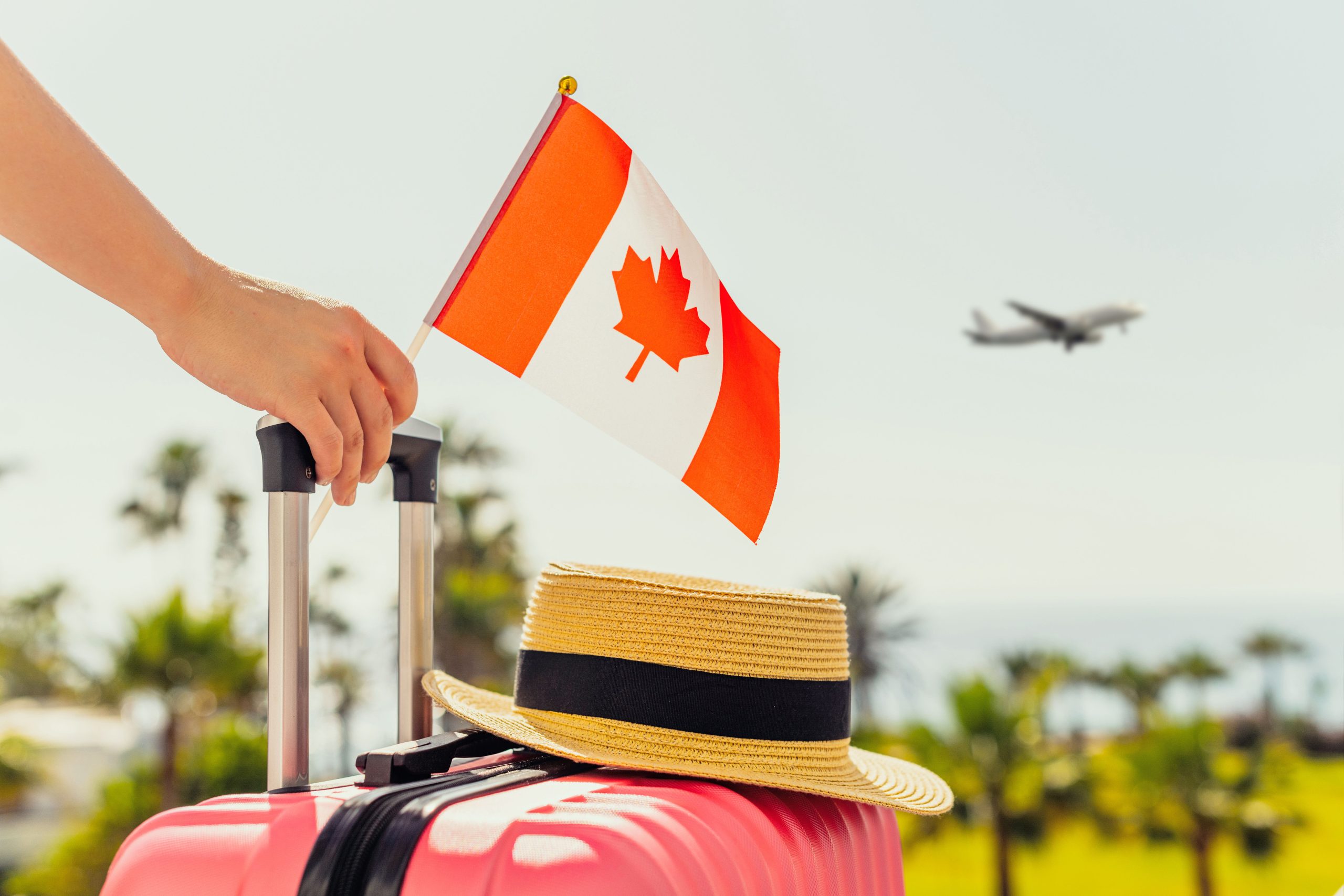 Los canadienses boicotan a los Estados Unidos mientras las aerolíneas se mueven a Europa y América Latina, cortando vuelos estadounidenses