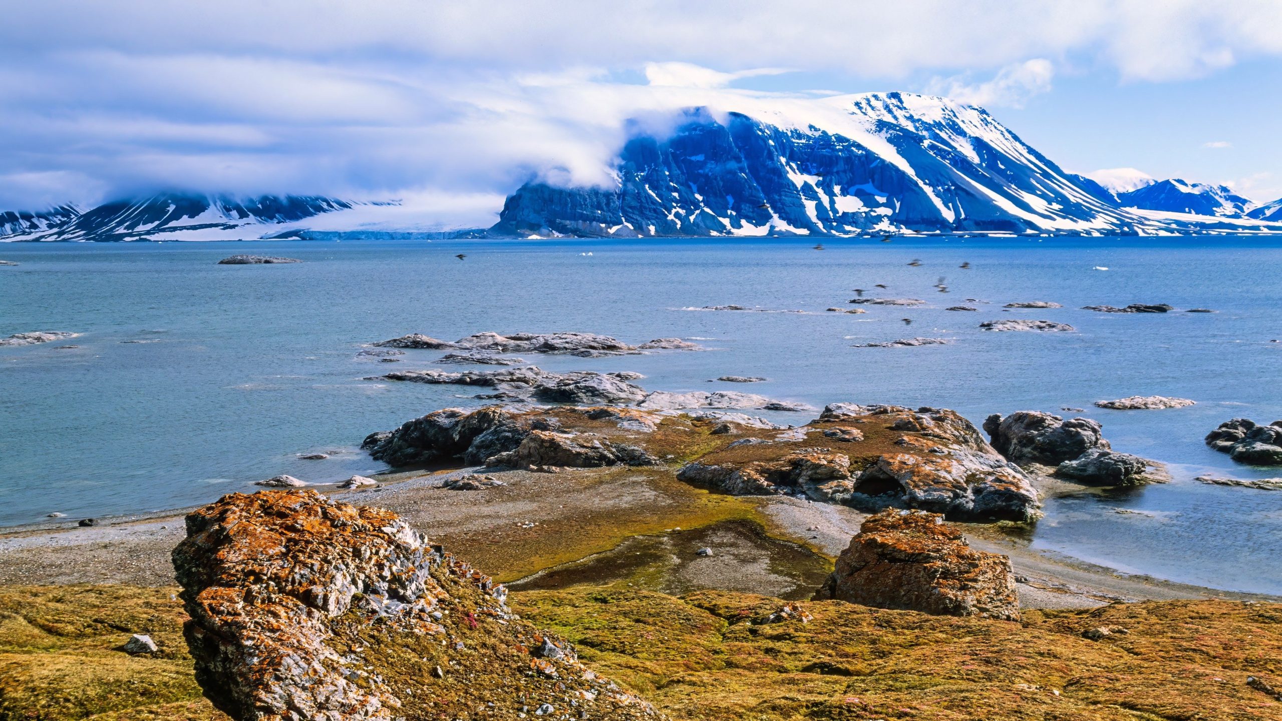 8 affascinanti scoperte fossili che esperti graduali