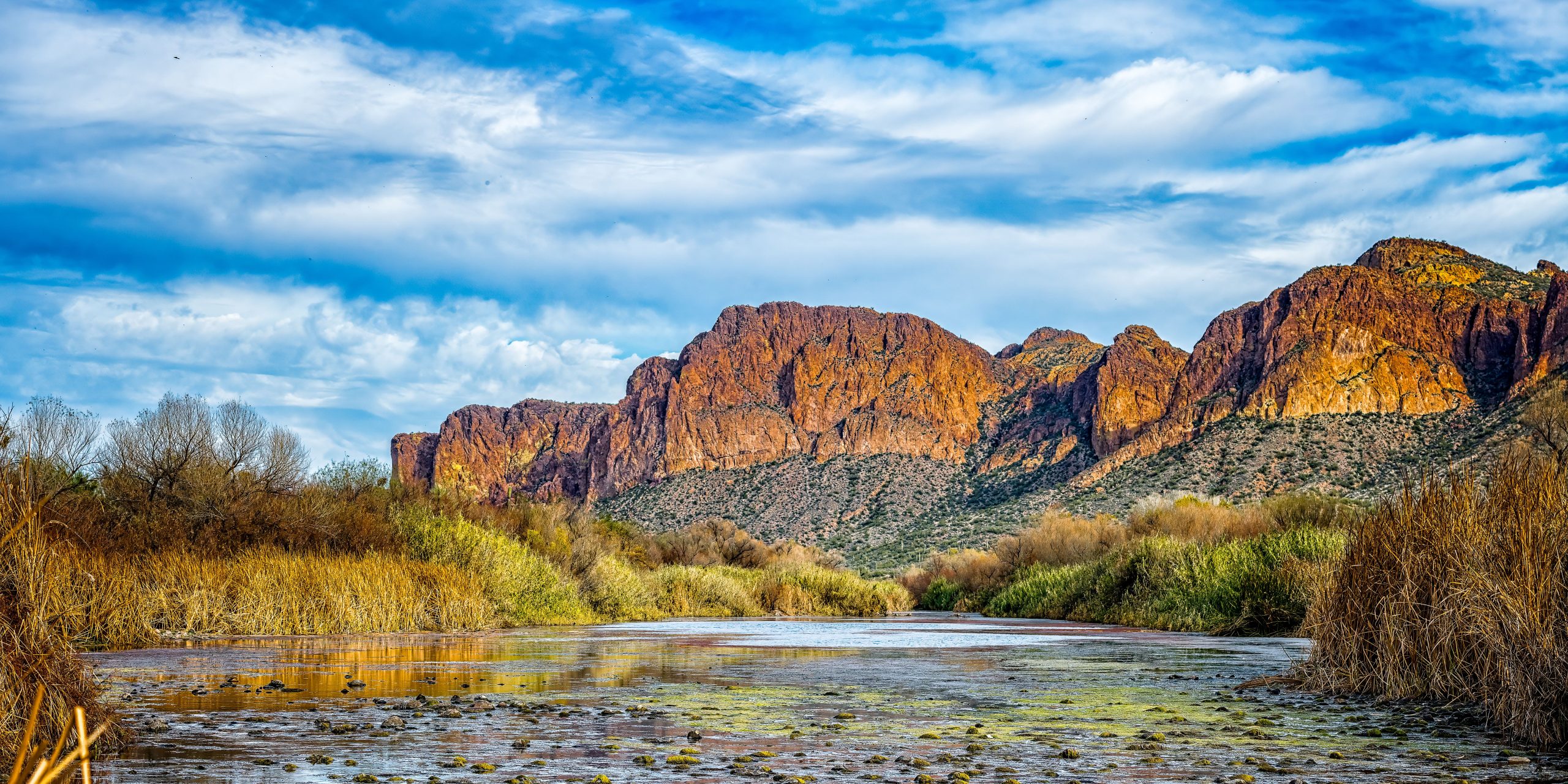 Uma das manchas mais serenas da praia do Arizona está perto de Phoenix