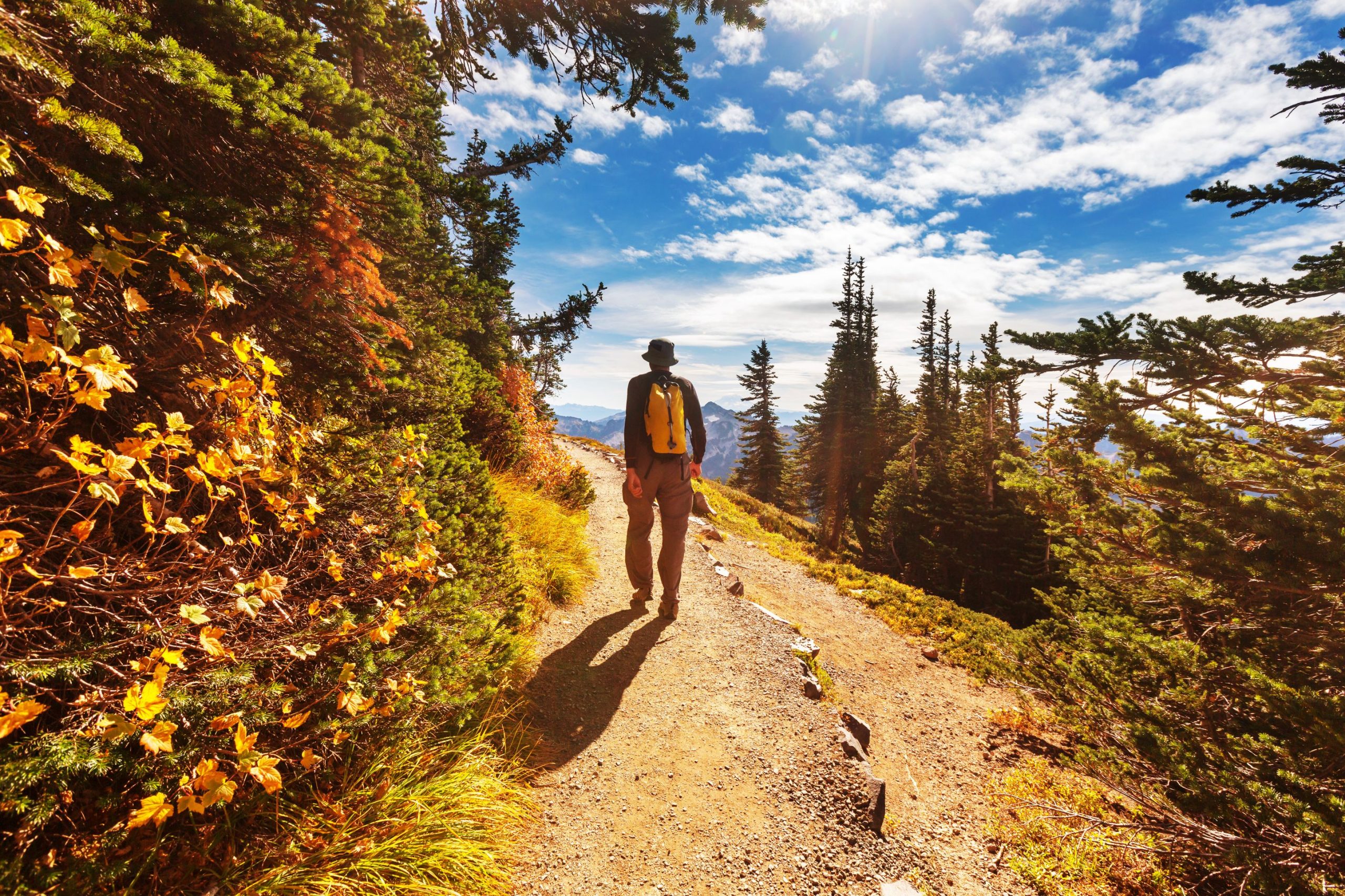 L'aventure la plus cool du Montana est la dernière tendance que vous devez savoir