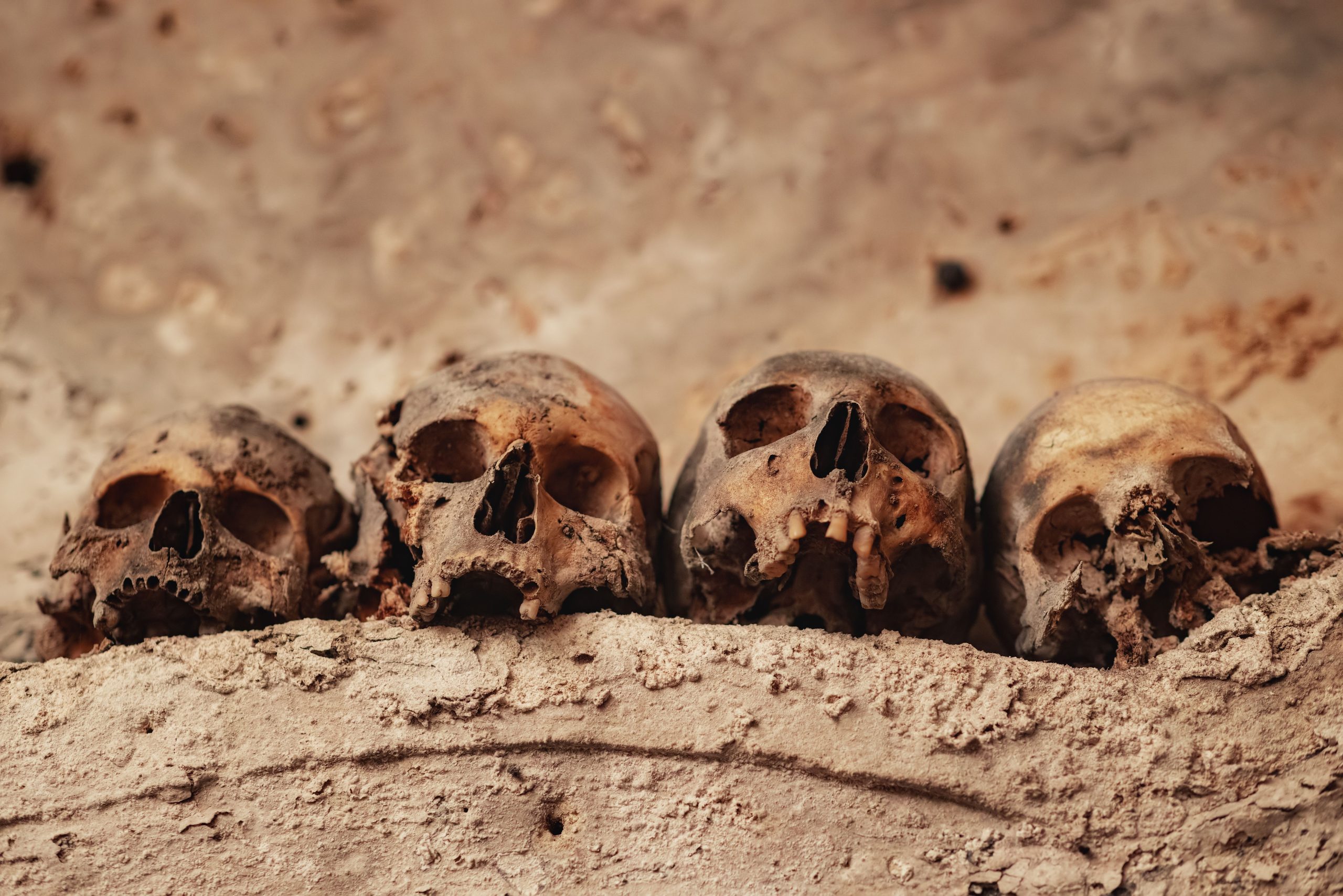 Découverte surprenante de 15 crânes préhistoriques trouvés dans la ville italienne Prottes archéologues