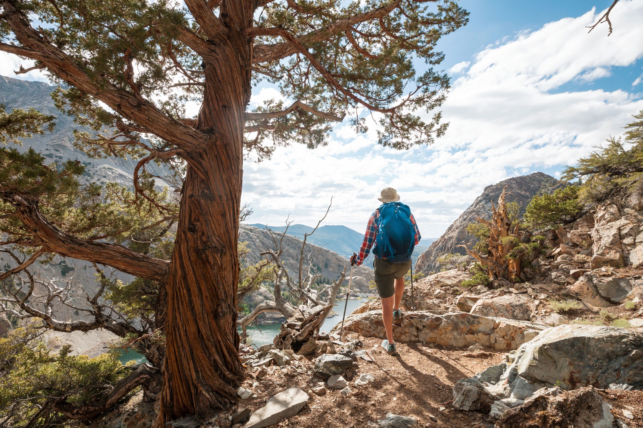 Este parecido Yosemite tem picos de granito impressionantes, lagos alpinos legais e acampamentos fáceis de livrar