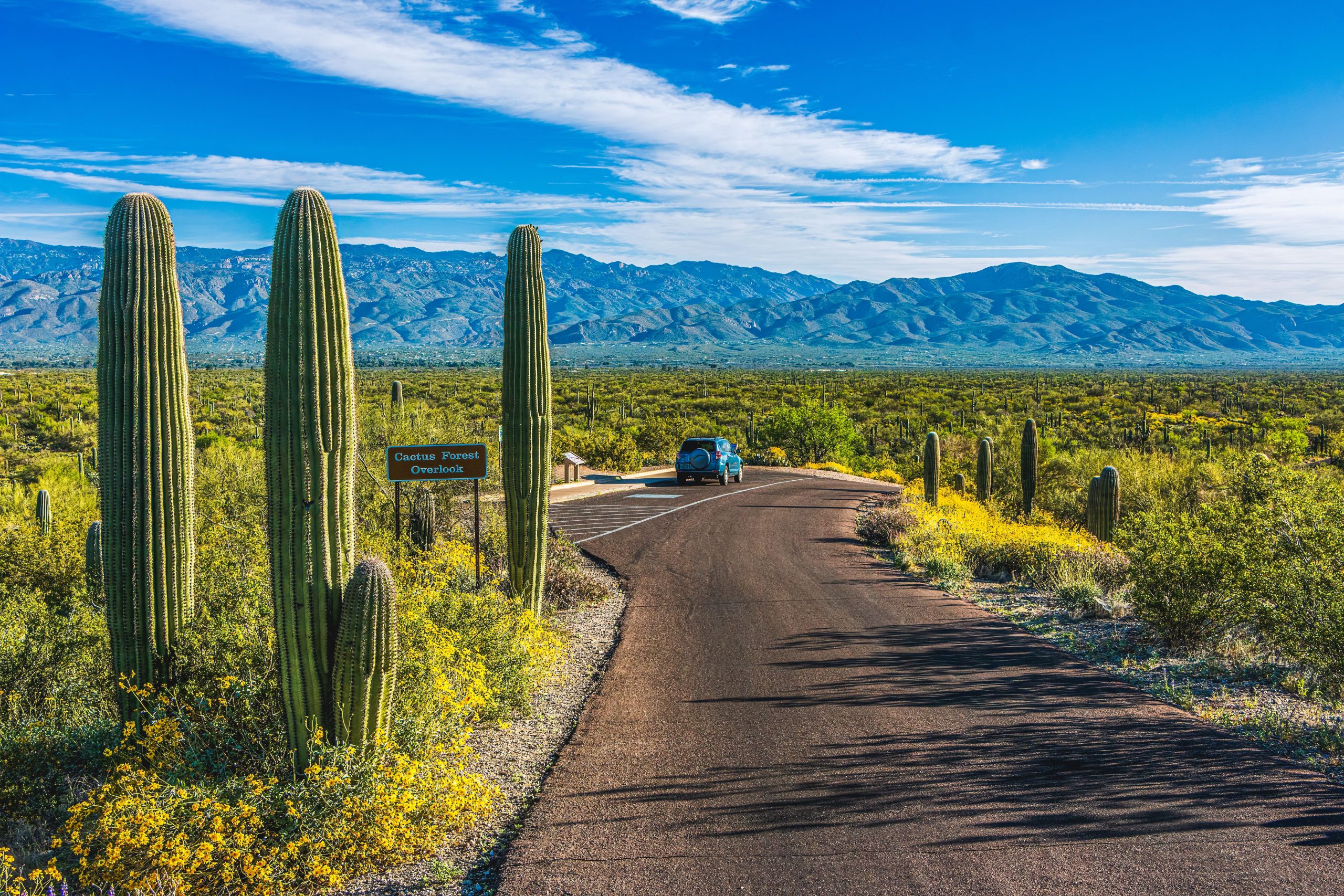 La ciudad más encantadora de Arizona tiene un parque nacional olvidado en su puerta
