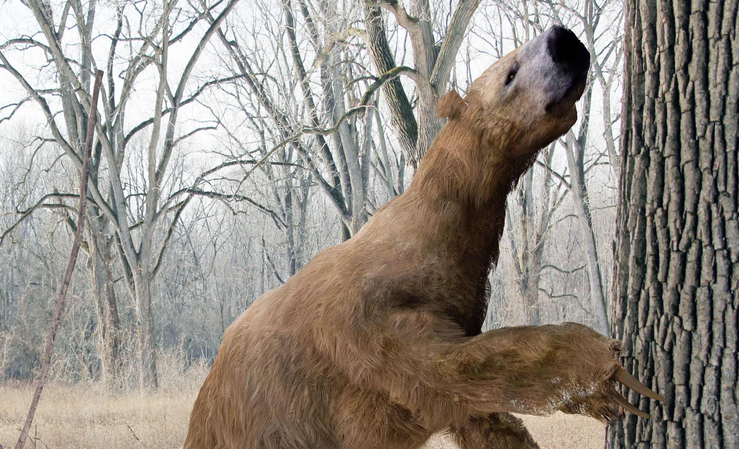 Mastodones, perezosos gigantes y humanos antiguos coexistieron para un milenio, sugiere Discovery