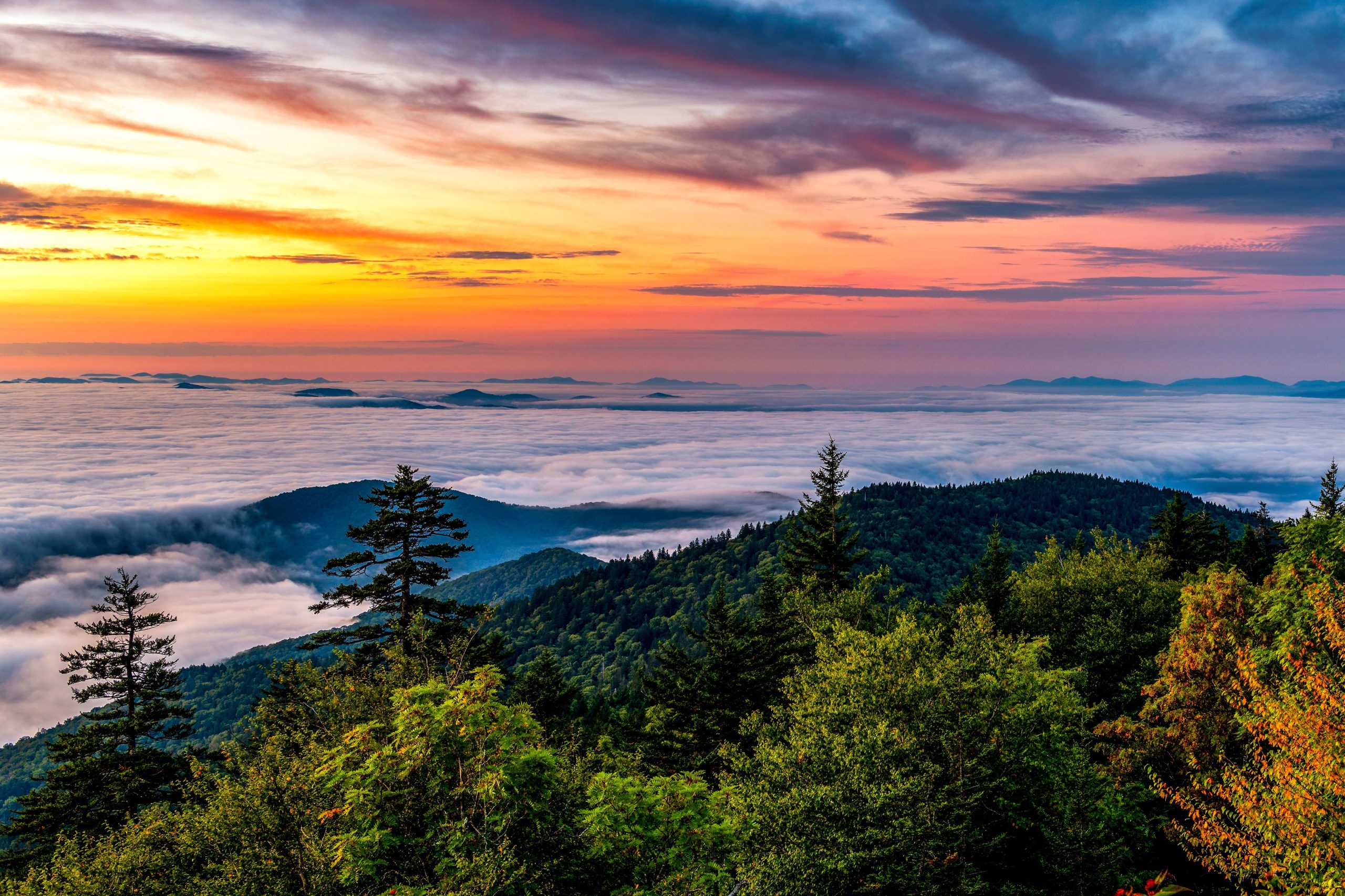 Le Tennessee vient de devenir le «côté sauvage» des grands smokies avec cette expérience incroyable