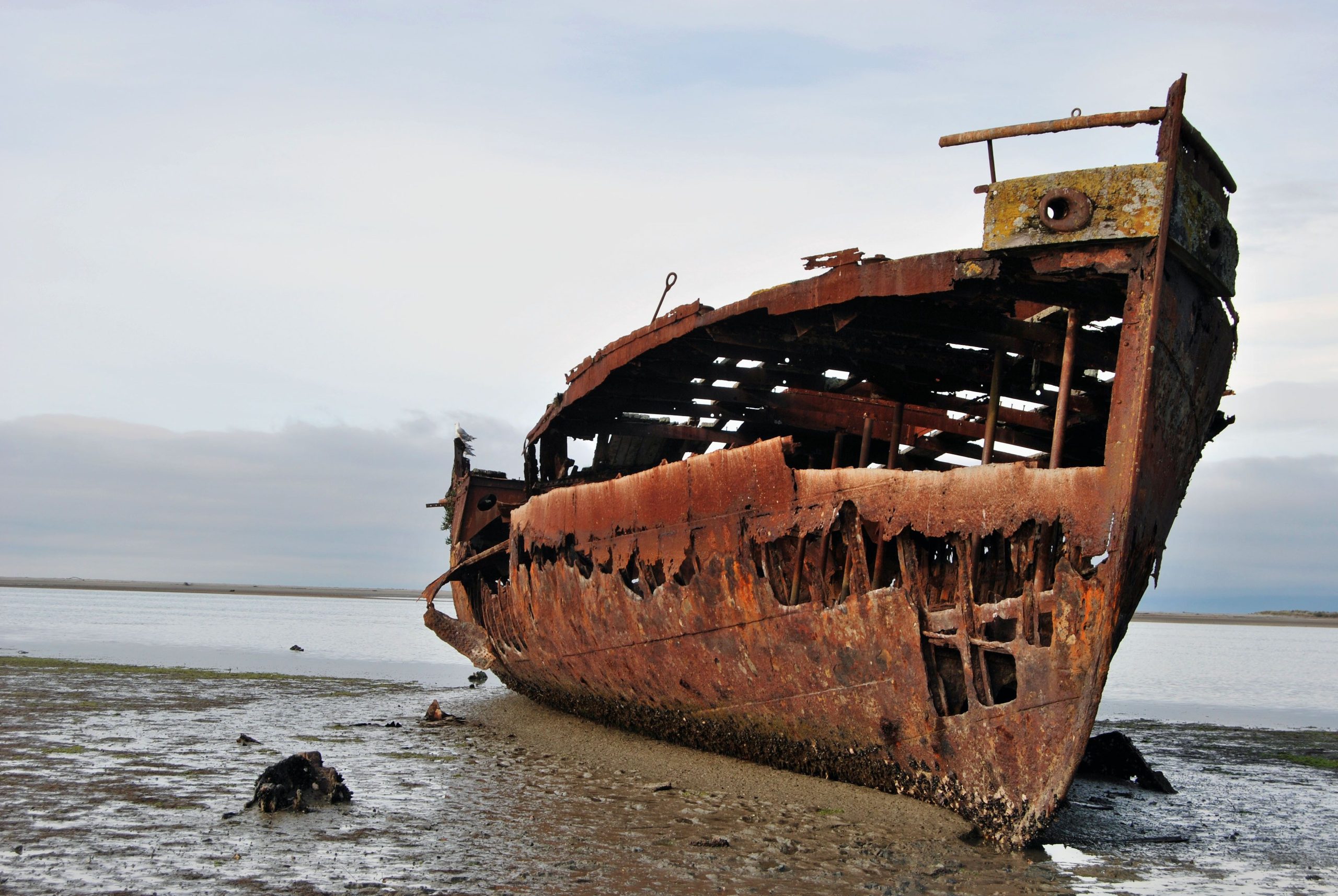 Deux épaves de plus de 100 ans révélées par l'ancien cyclone Alfred