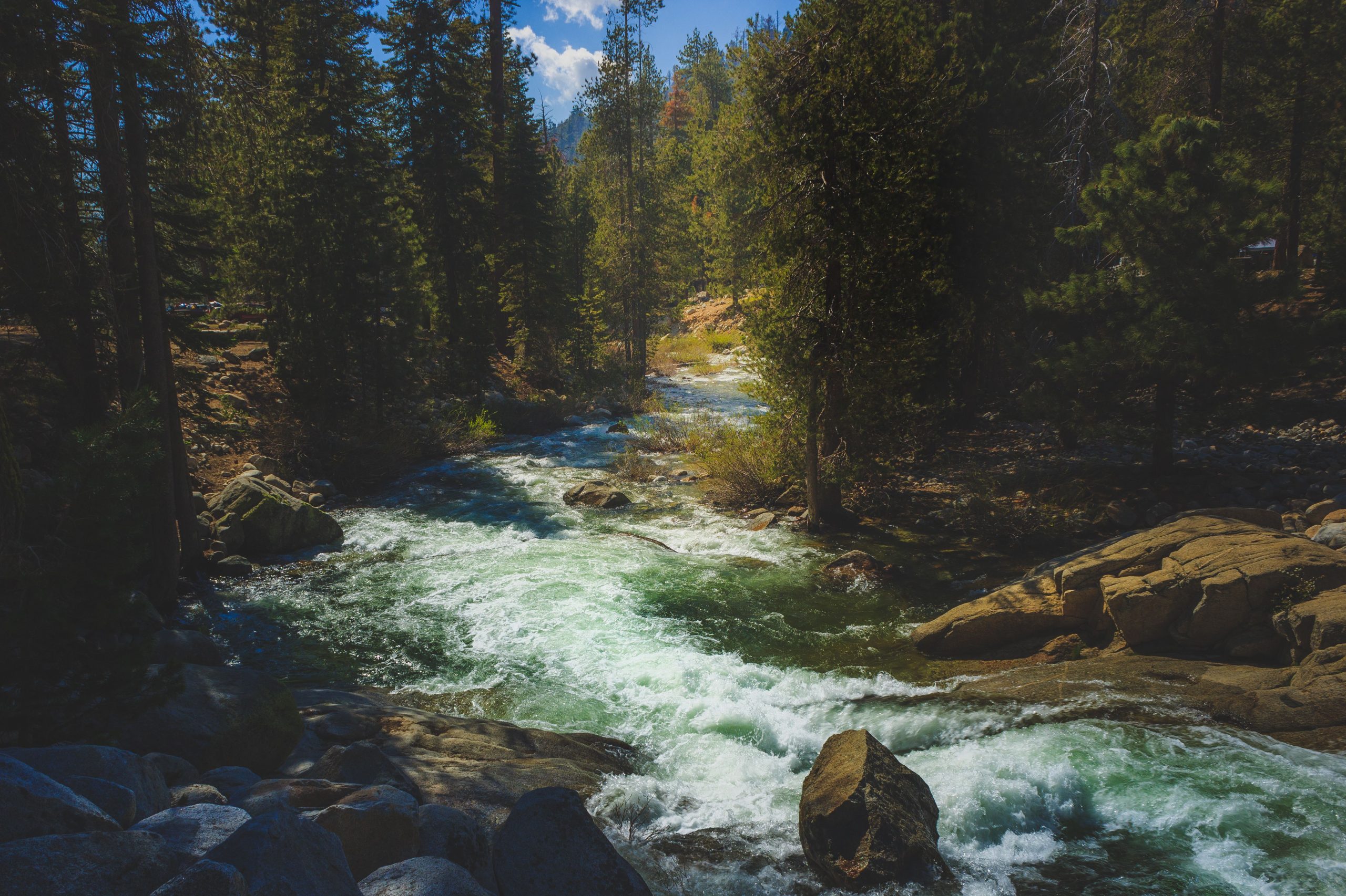 Une femme a été balayée dans le parc national de Californie, tentant de sauver sa sœur