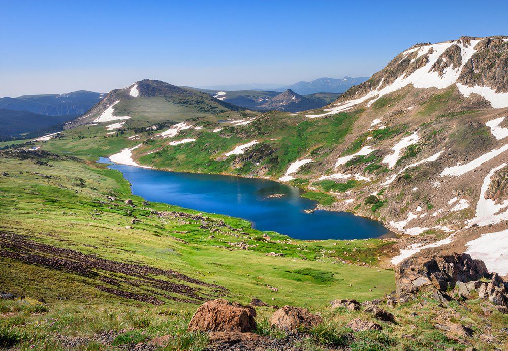 Skip Yellowstone: el bosque nacional más antiguo de Estados Unidos está cerca, más grande y mejor