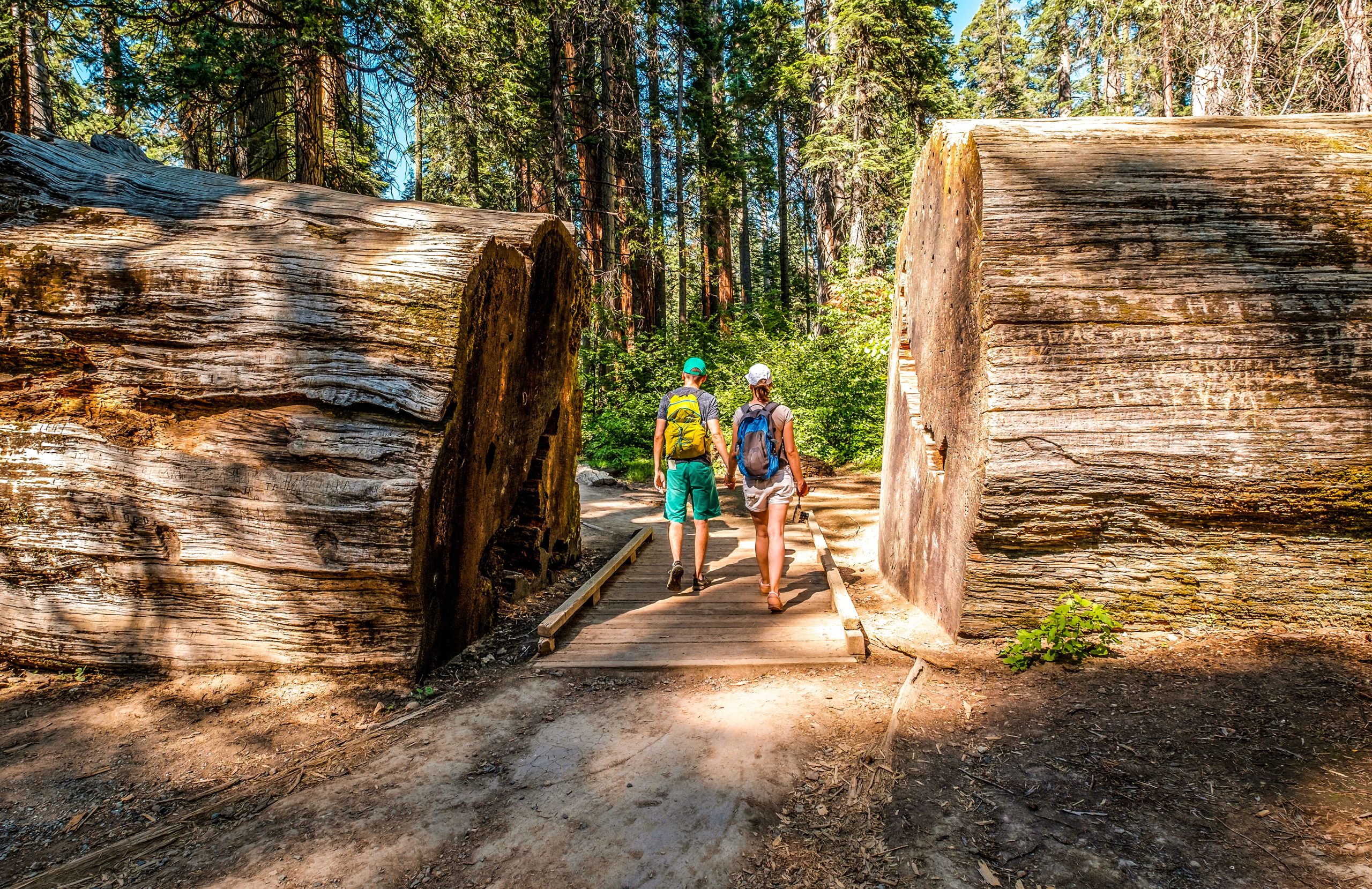 Este pouco conhecido Park California rivaliza com Yosemite com sequóias gigantes e uma cidade da corrida dourada