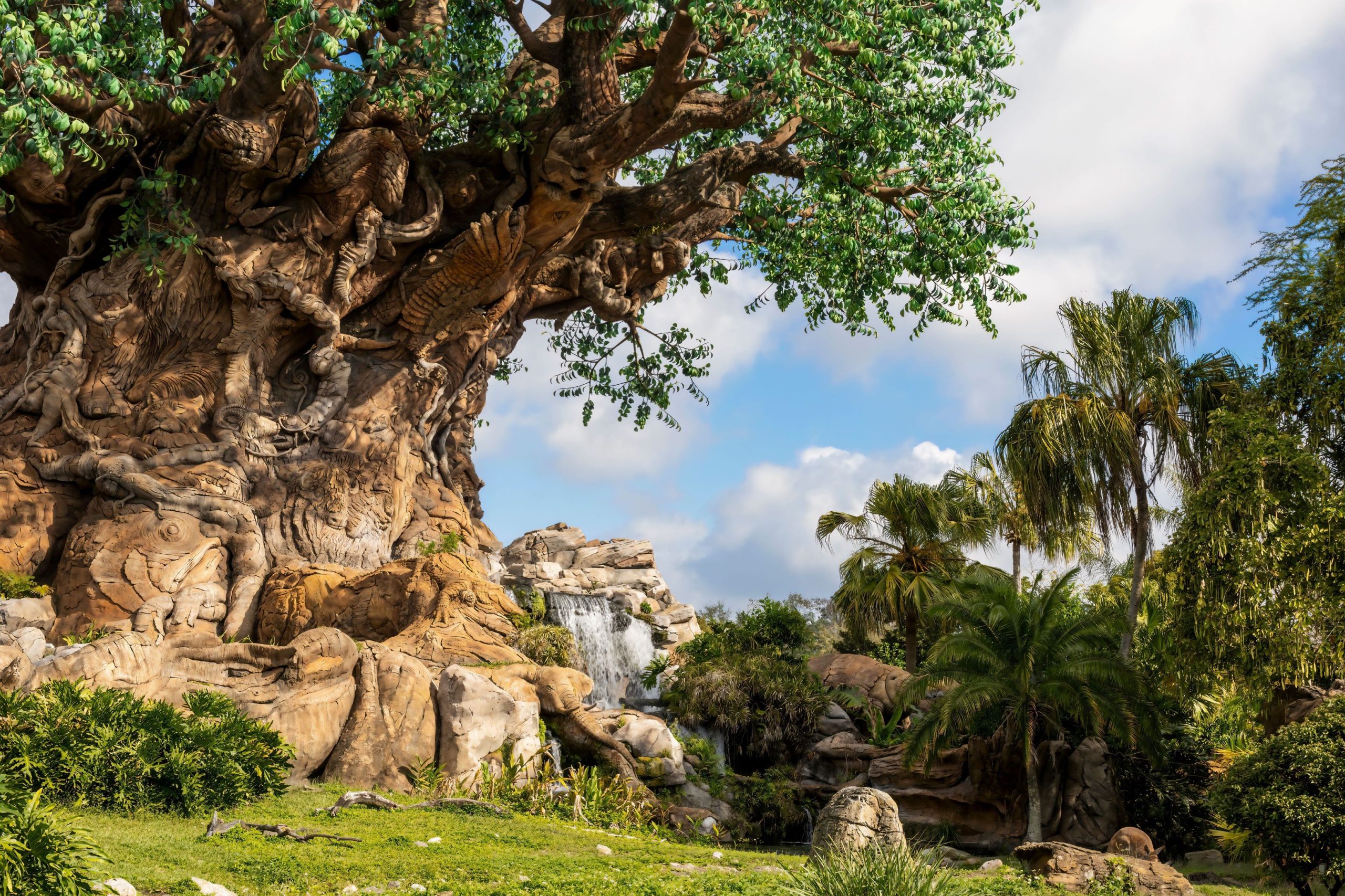 Disney dibuja una reacción mixta después de anunciar el cierre de la atracción de gemas ocultas en Animal Kingdom