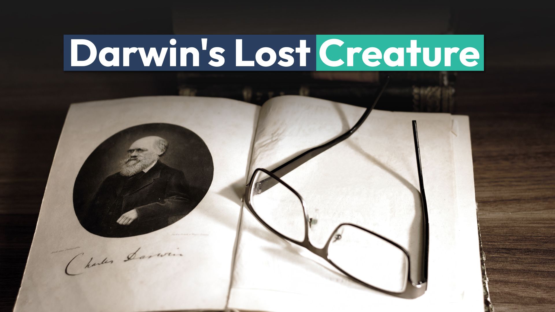 Esta criatura secreta observada por Darwin se pensó extinga desde 1835, hasta ahora