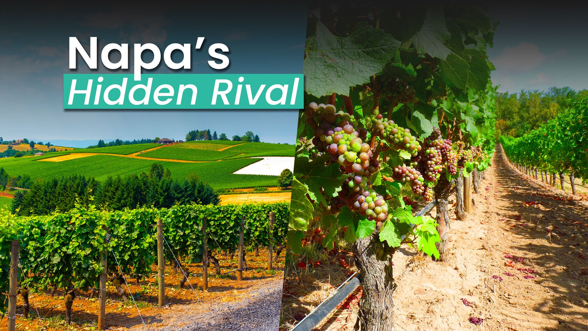 Cet État américain a deux «vallées Napa» qui rivalisent avec la Californie