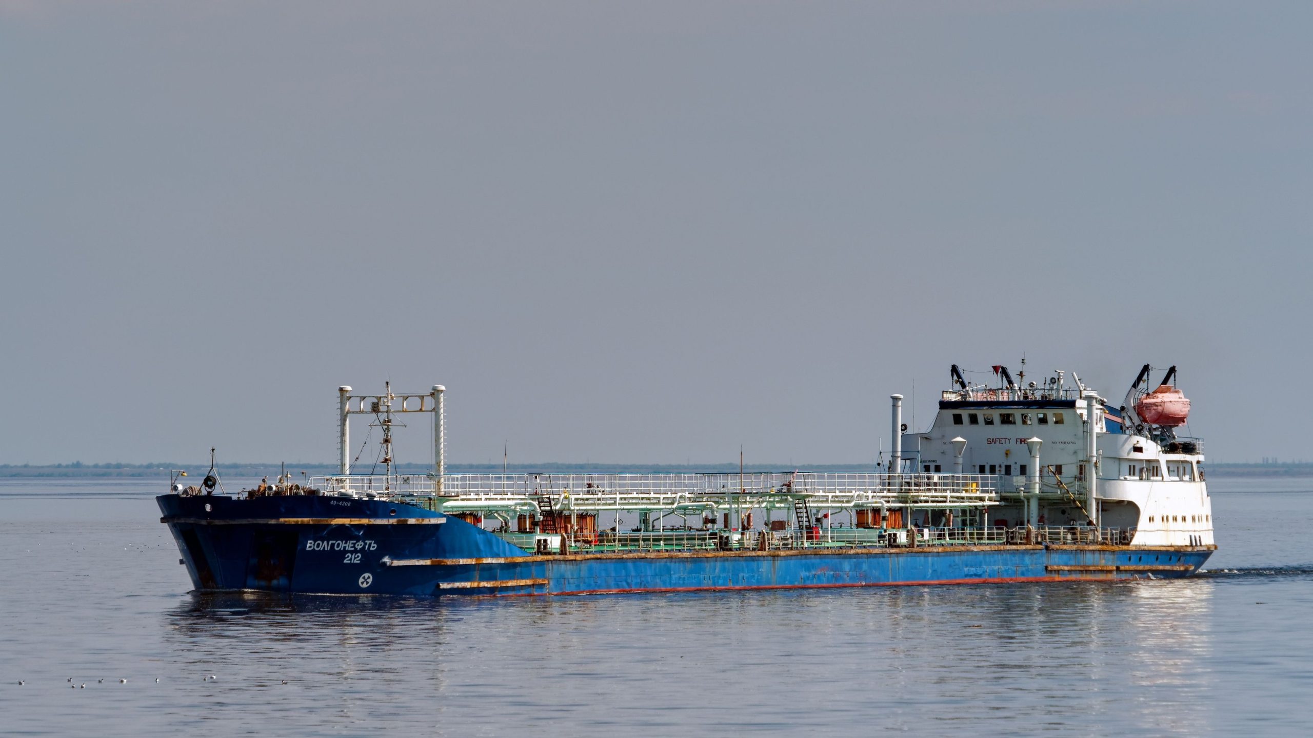 Esforços para limpar os pellets de plástico no Mar do Norte estão em andamento para salvar a vida selvagem