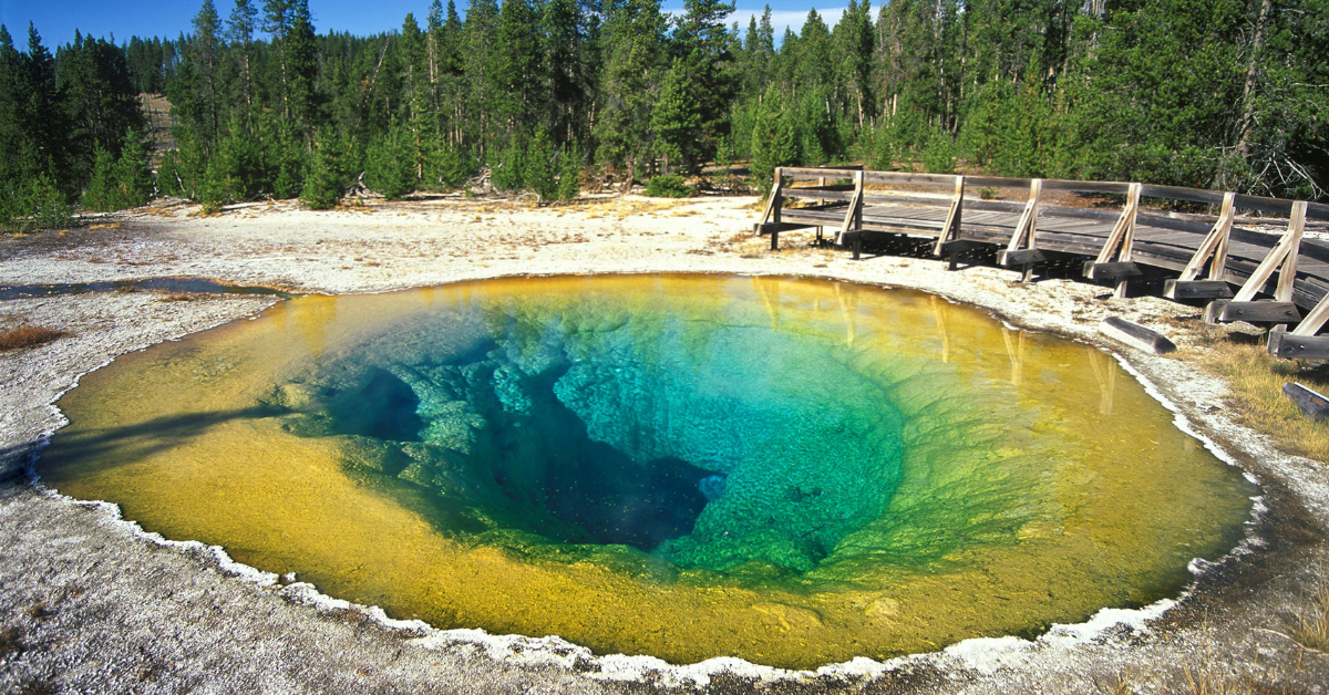 Les produits chimiques des sédiments du lac antique conduisent à une découverte révolutionnaire au parc national de Yellowstone