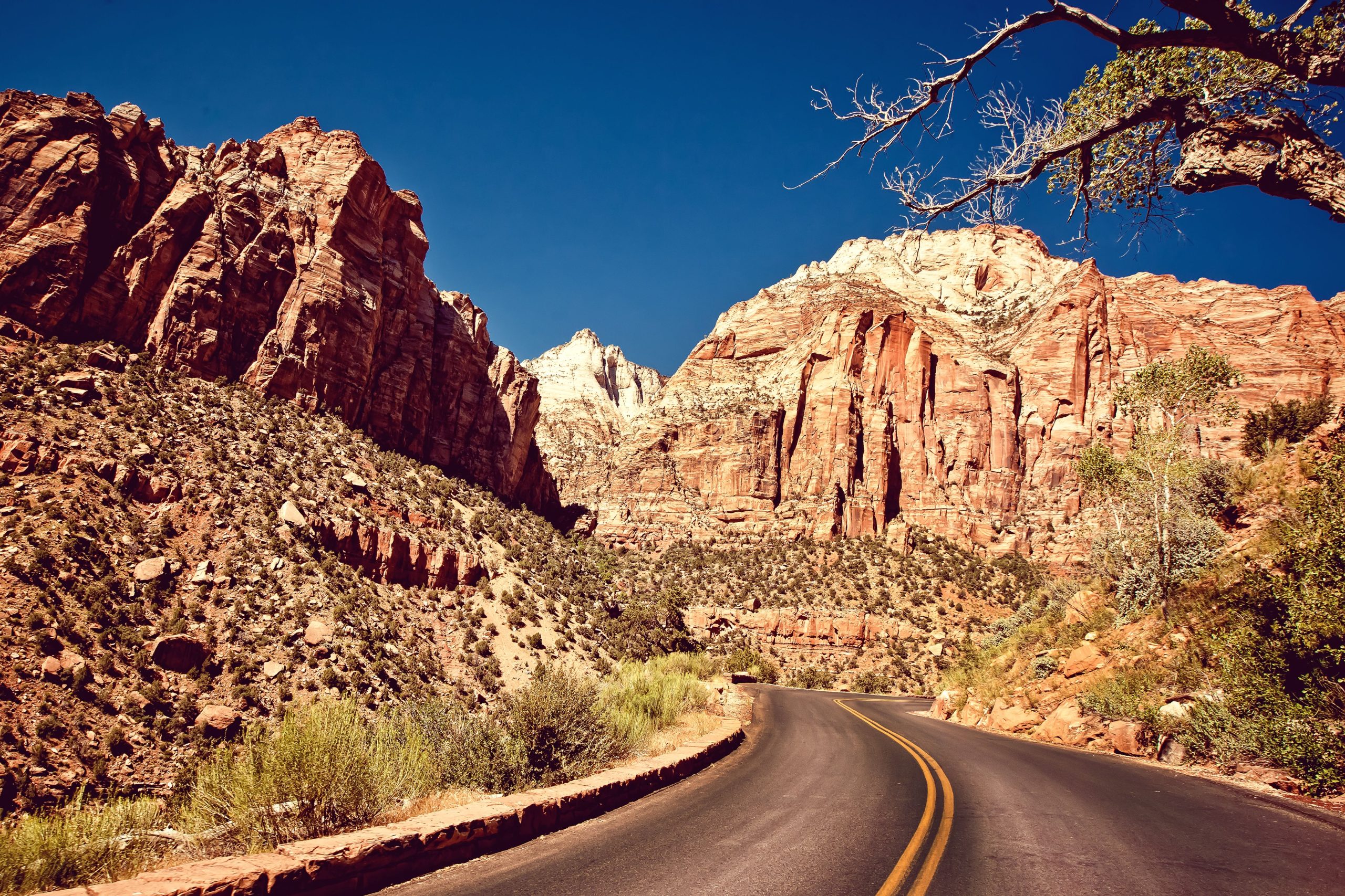 Le parc national de Zion rouvre Canyon Scenic Drive aux visiteurs après une chute de rock massive