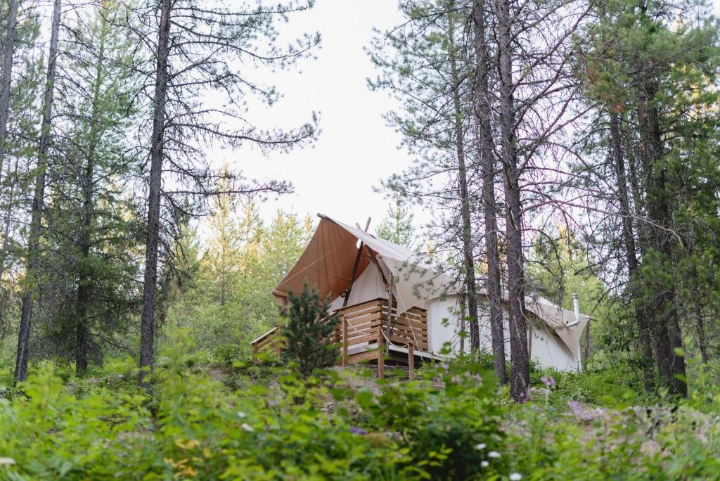 Uma olhada em todos os 14 locais em lona nos EUA