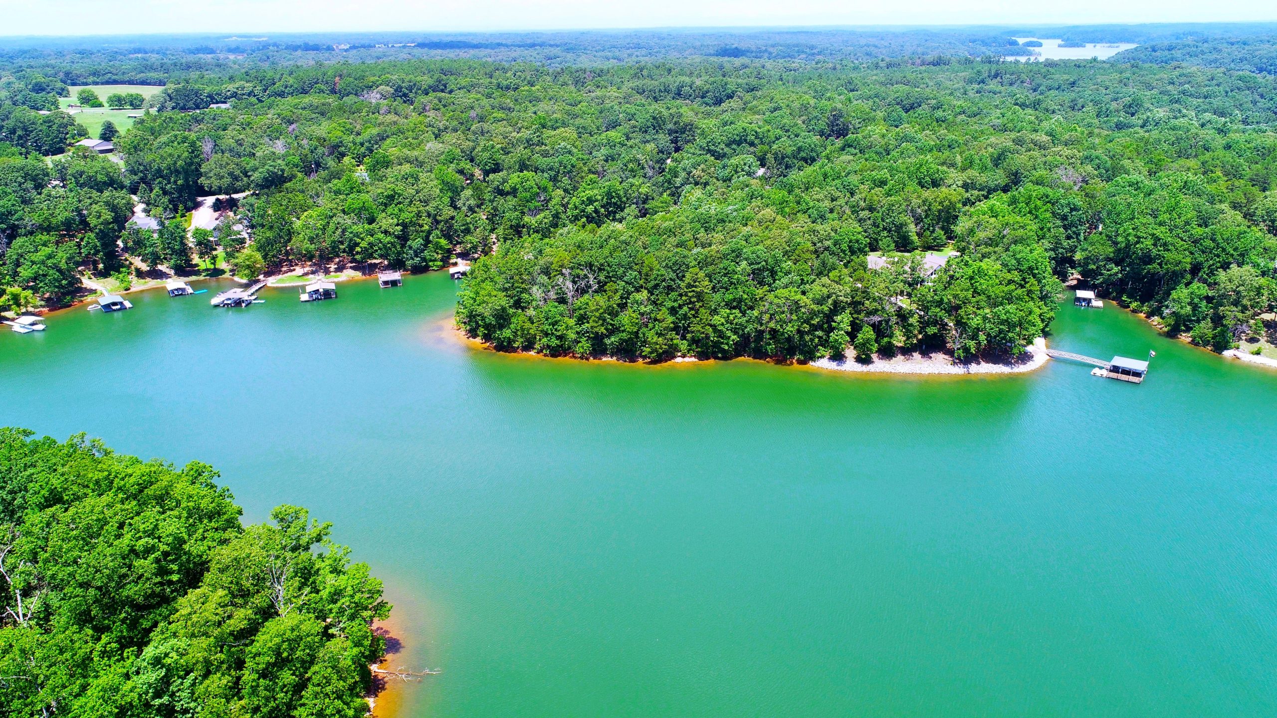 L'un des lacs les plus infestés de serpents d'Amérique est l'un des plus populaires du Sud-Est