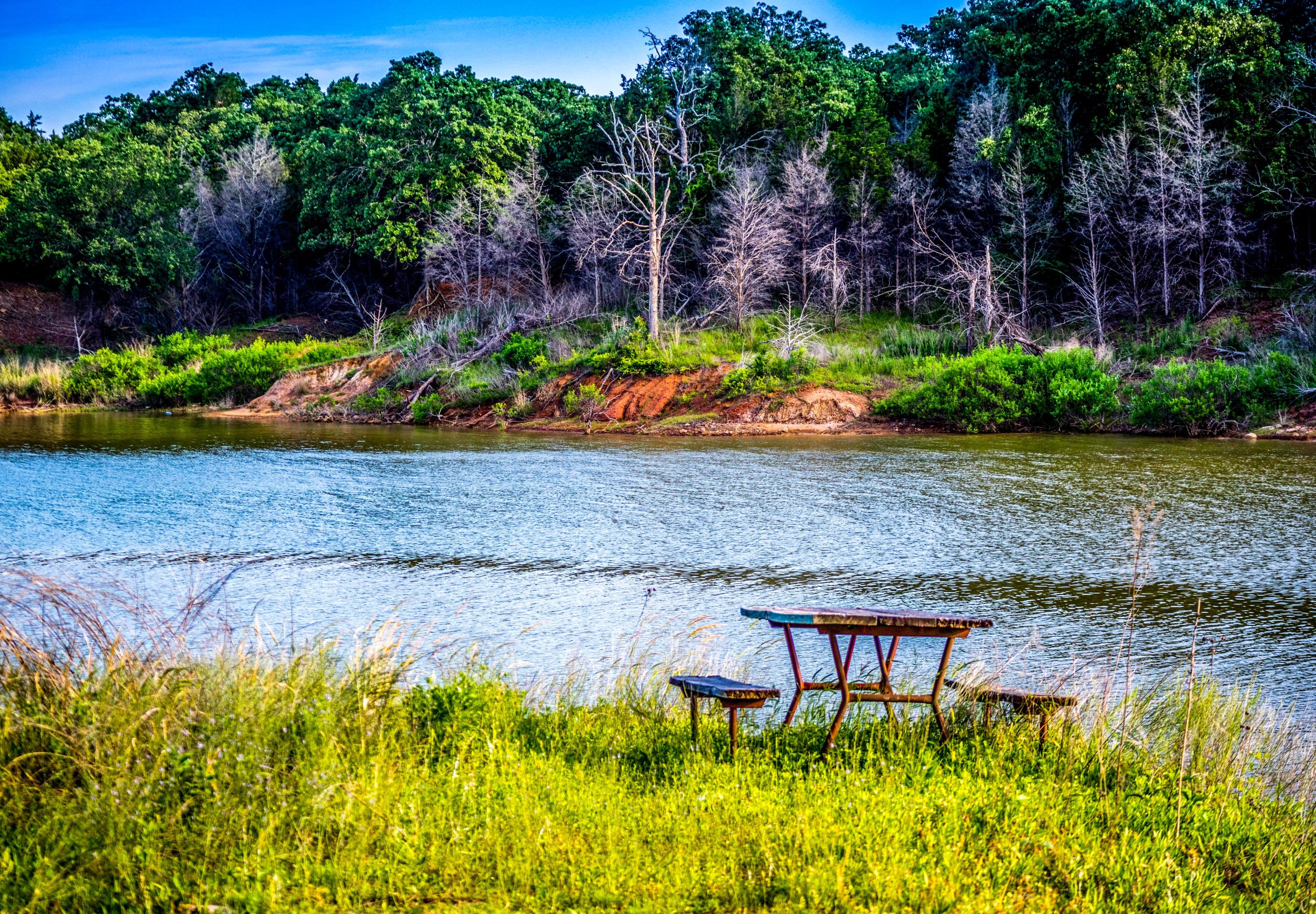 Uno de los lagos más infestados de serpientes de Estados Unidos es también uno de sus destinos turísticos más populares
