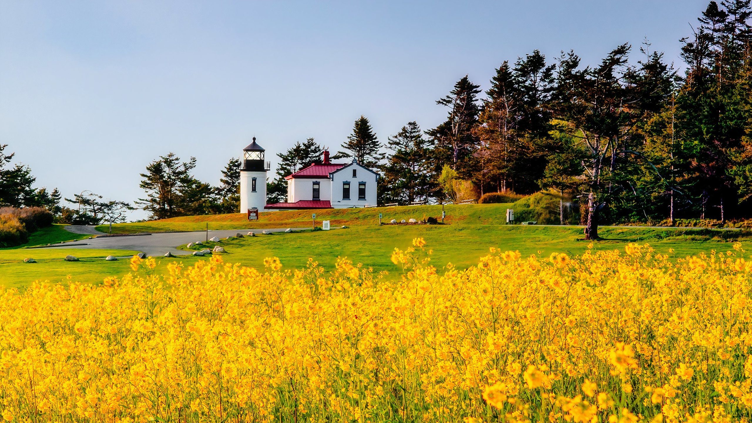 Esta é a pequena cidade mais subestimada de Washington em 2025